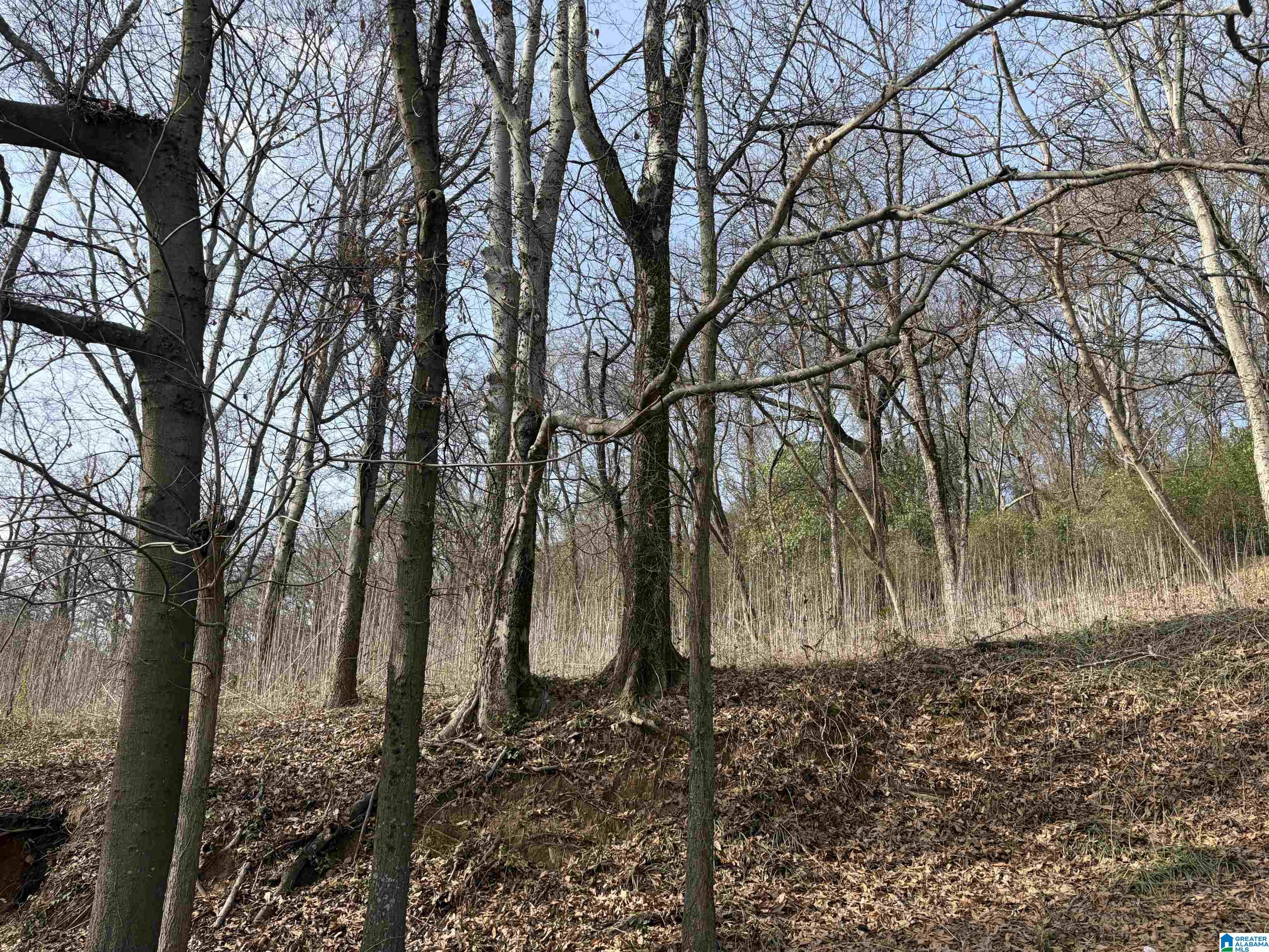 Photo 2 of Land for sale at 2217 43rd Avenue N, Birmingham, AL 35207 | MLS# 21441598 | Listing updated on 2026-01-22