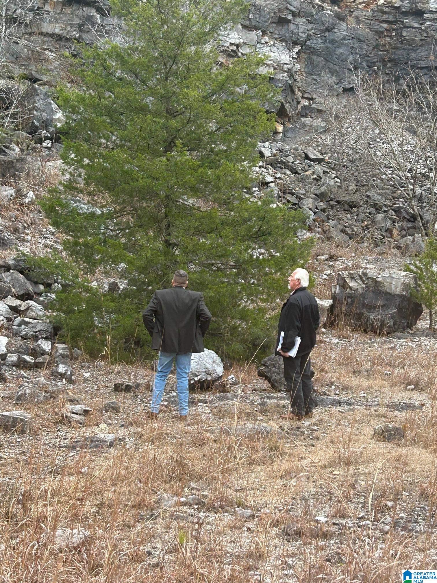 Homes for sale in Alpine, AL | 0 Rocky Lane, Alpine, AL 35014 | MLS# 21441615