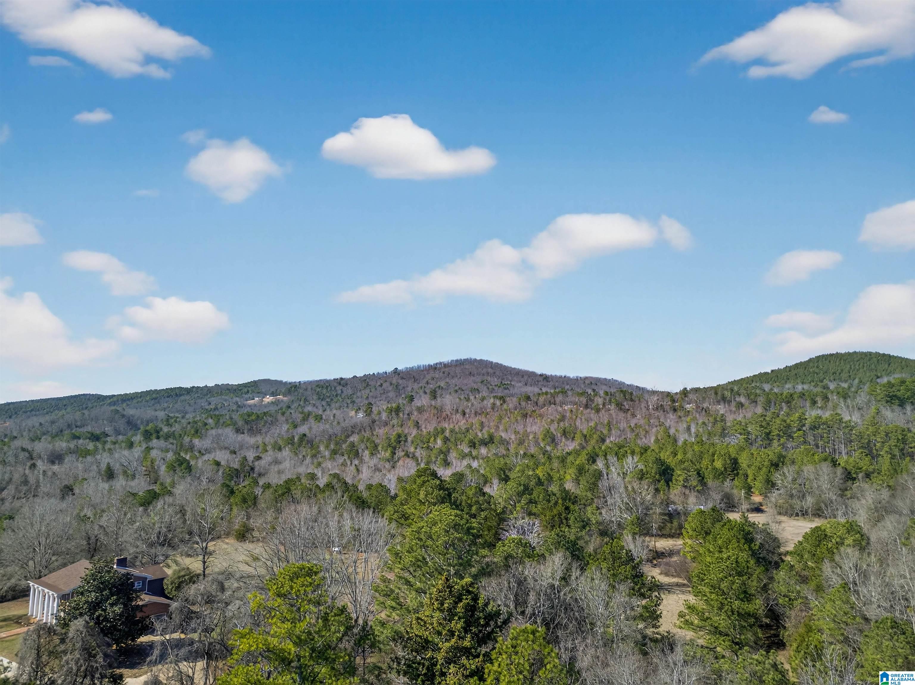 Photo 4 of Land for sale at 00 Flying L Ranch Rd, Talladega, AL 35160 | MLS# 21441626 | Listing updated on 2026-07-27