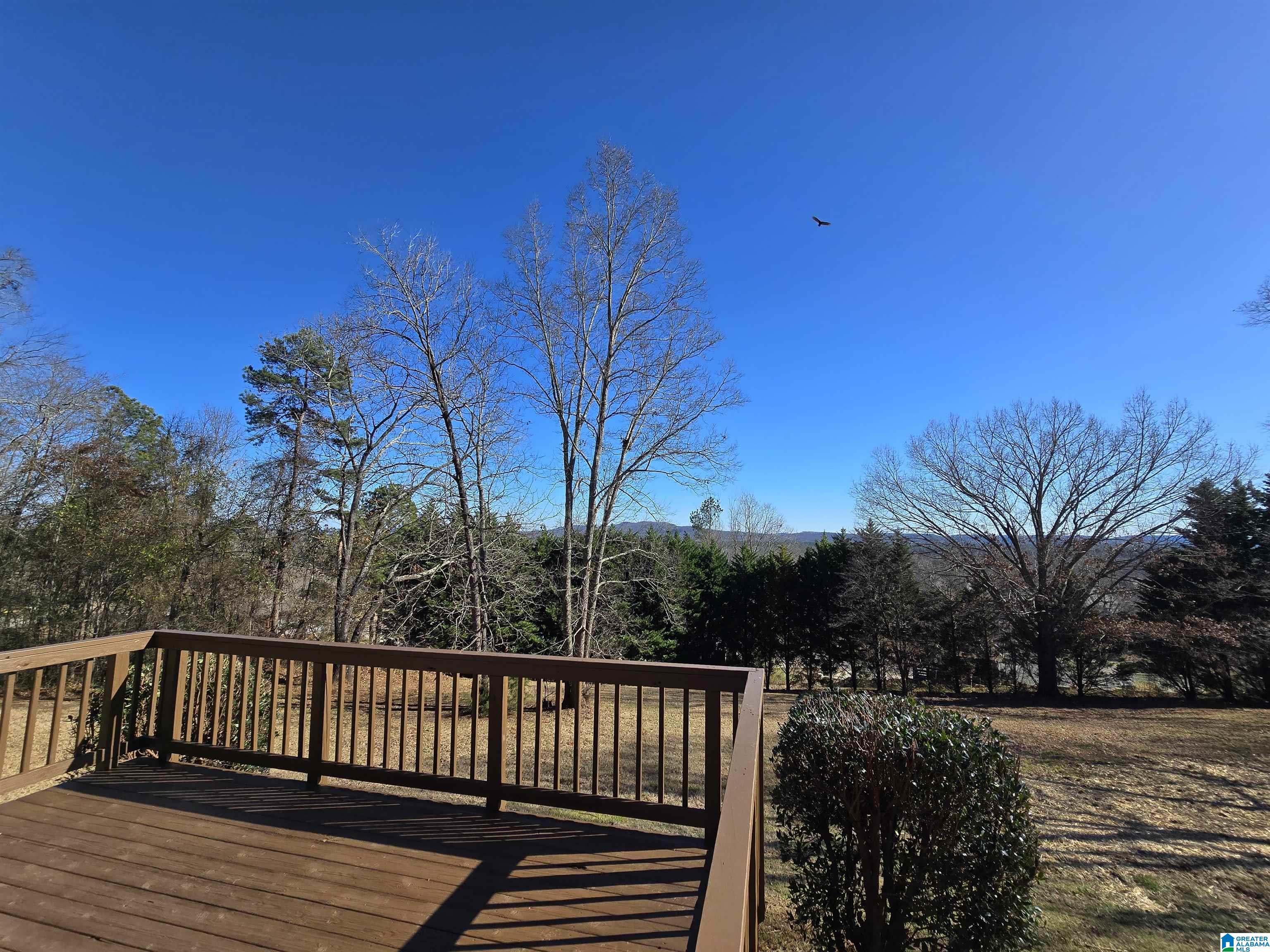 Homes for sale in Springville, AL | 10425 Us Hwy 11, Springville, AL 35146 | MLS# 21441638