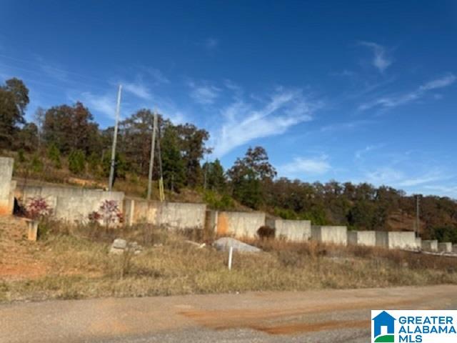 Homes for sale in Pell City, AL | 1110 Ranch Marina Road, Pell City, AL 35128 | MLS# 21441640