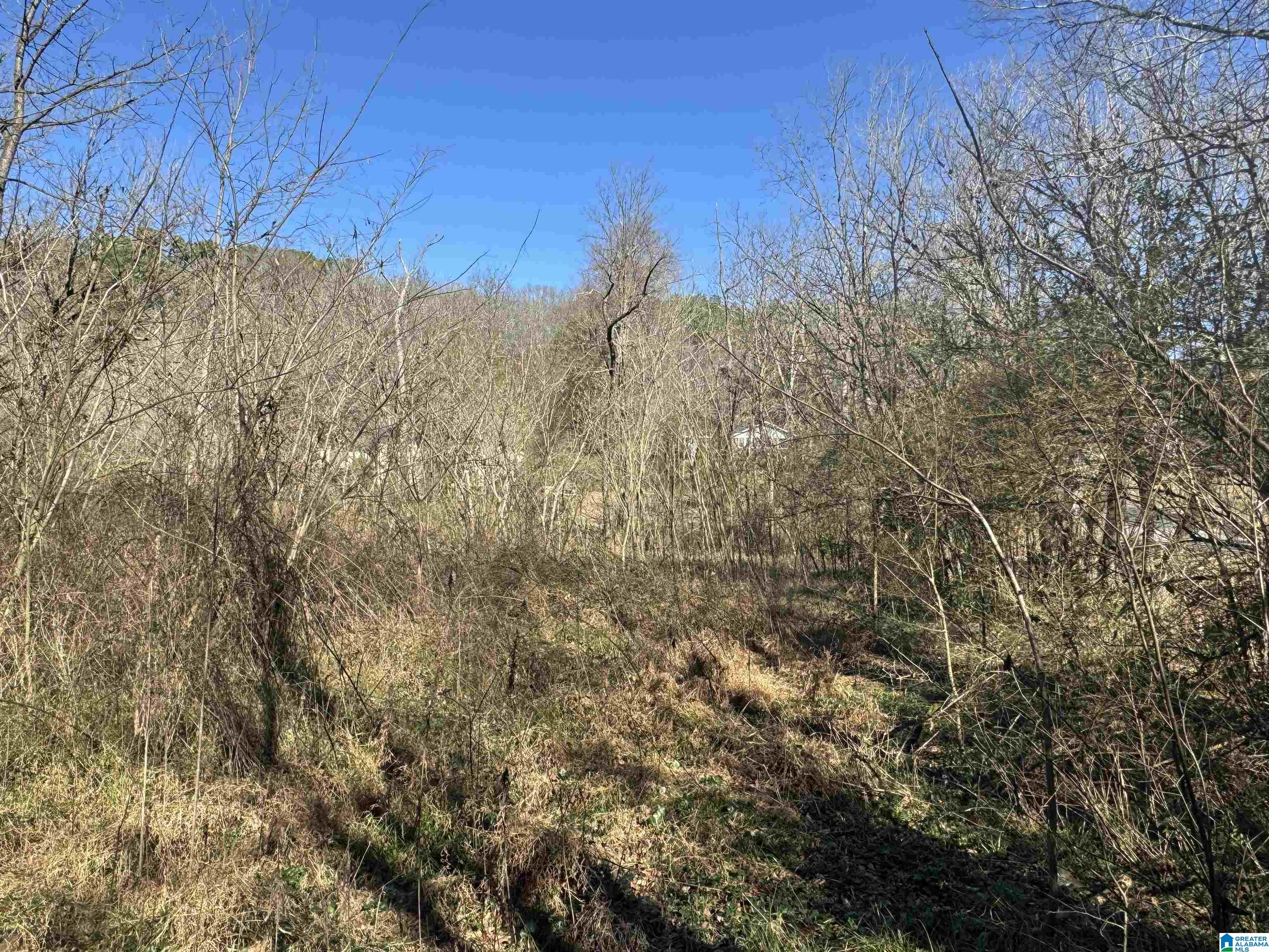 Homes for sale in Pinson, AL | 6944 Old Springville Road, Pinson, AL 35126 | MLS# 21441650