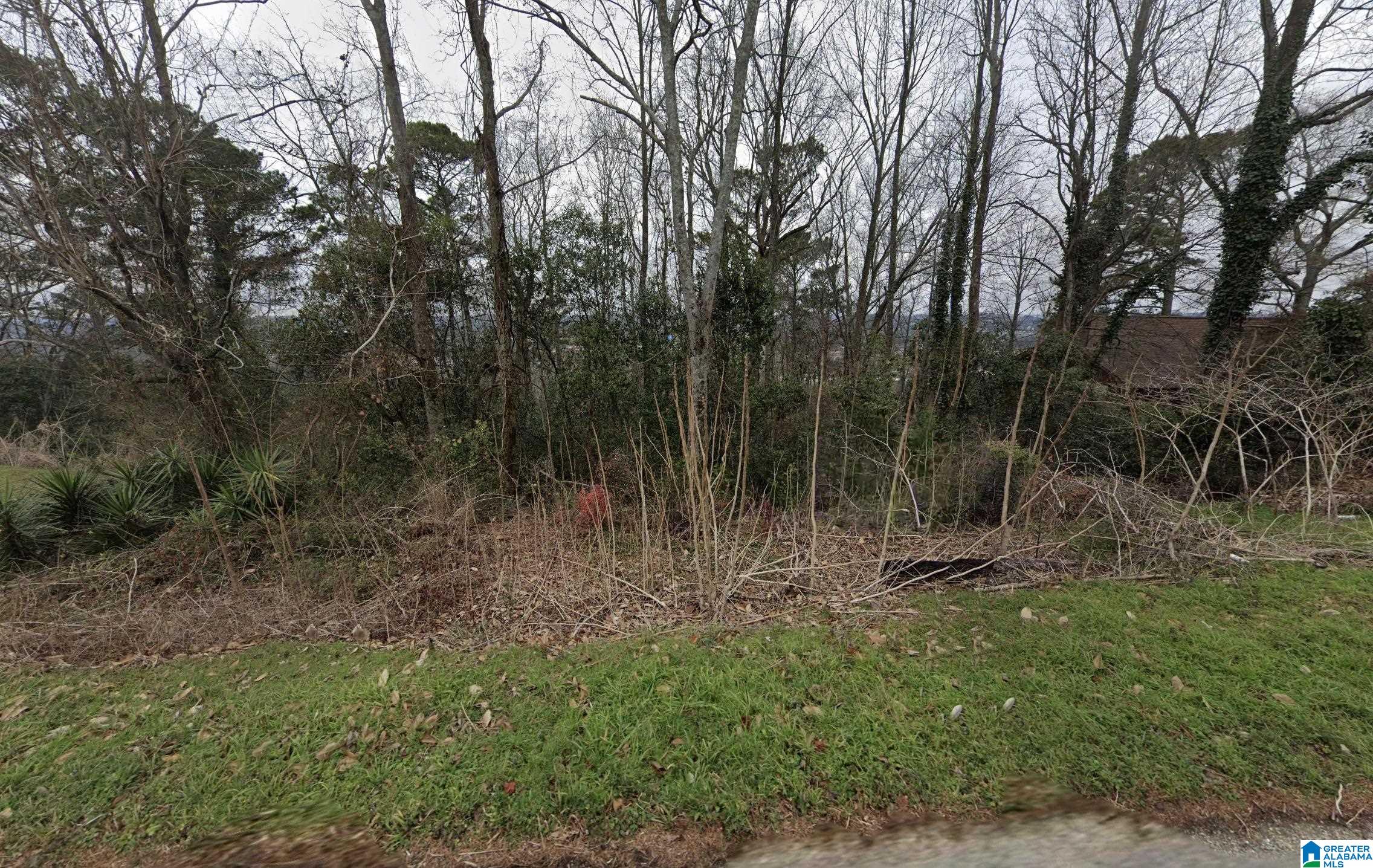 Homes for sale in Birmingham, AL | 1424 Shades Crest Road, Birmingham, AL 35226 | MLS# 21441667