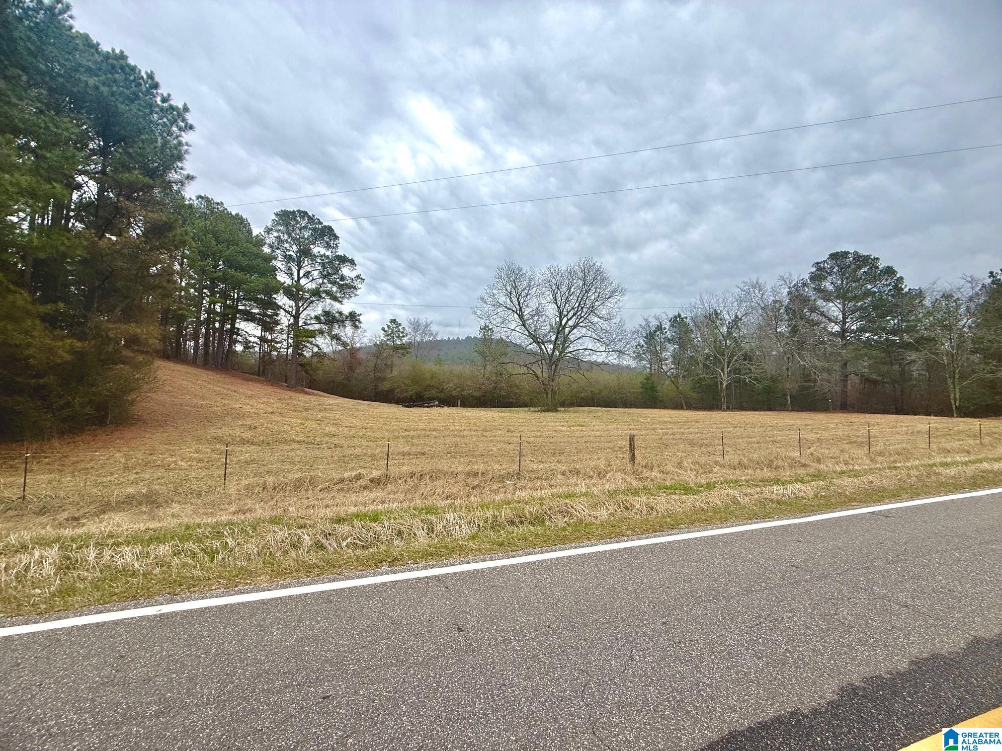 Homes for sale in Piedmont, AL | 1680 County Road 45, Piedmont, AL 36272 | MLS# 21441746