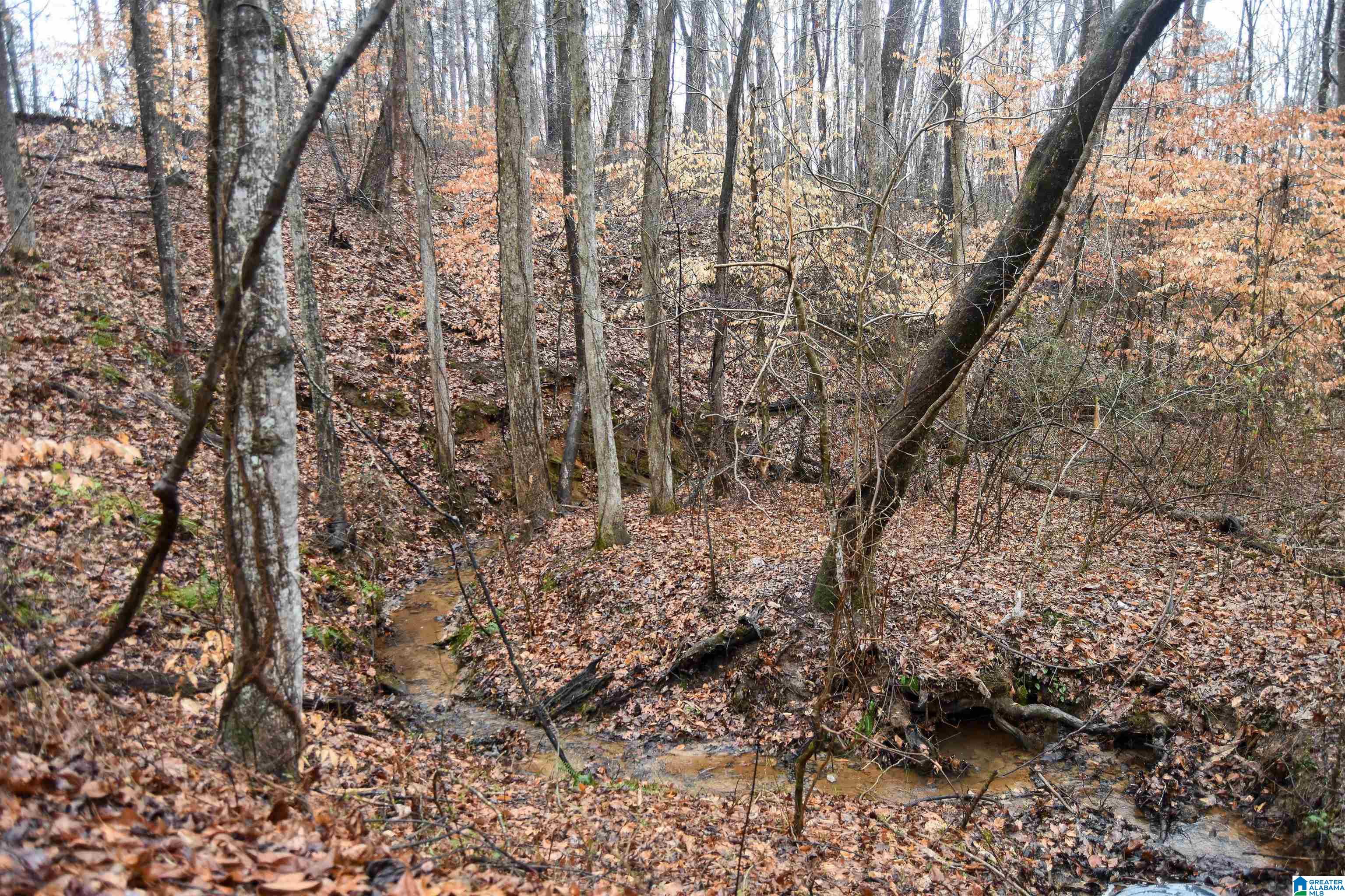 Homes for sale in Bremen, GA | 365 Henry Lewis Road, Bremen, GA 30110 | MLS# 21441753