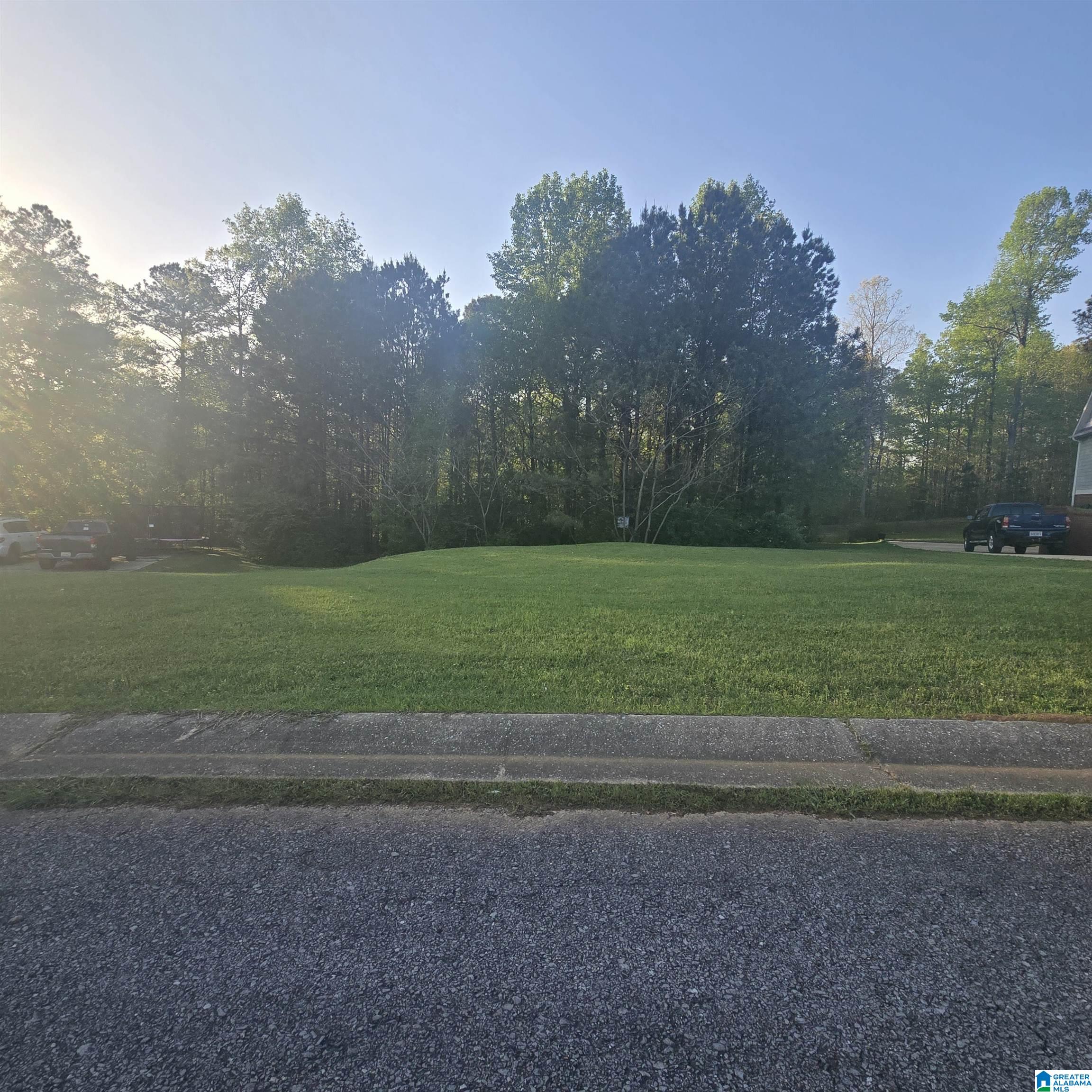 Photo 2 of Land for sale at 186 Grove Cir, Bessemer, AL 35023 | MLS# 21441786 | Listing updated on 2026-01-25