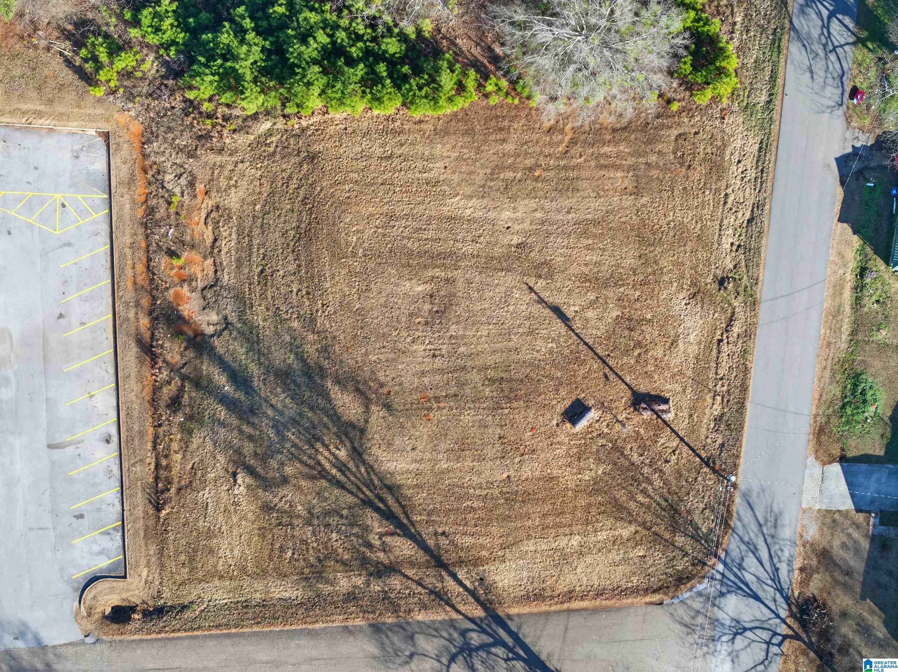 Homes for sale in Piedmont, AL | 0 Swann Street, Piedmont, AL 36272 | MLS# 21441812