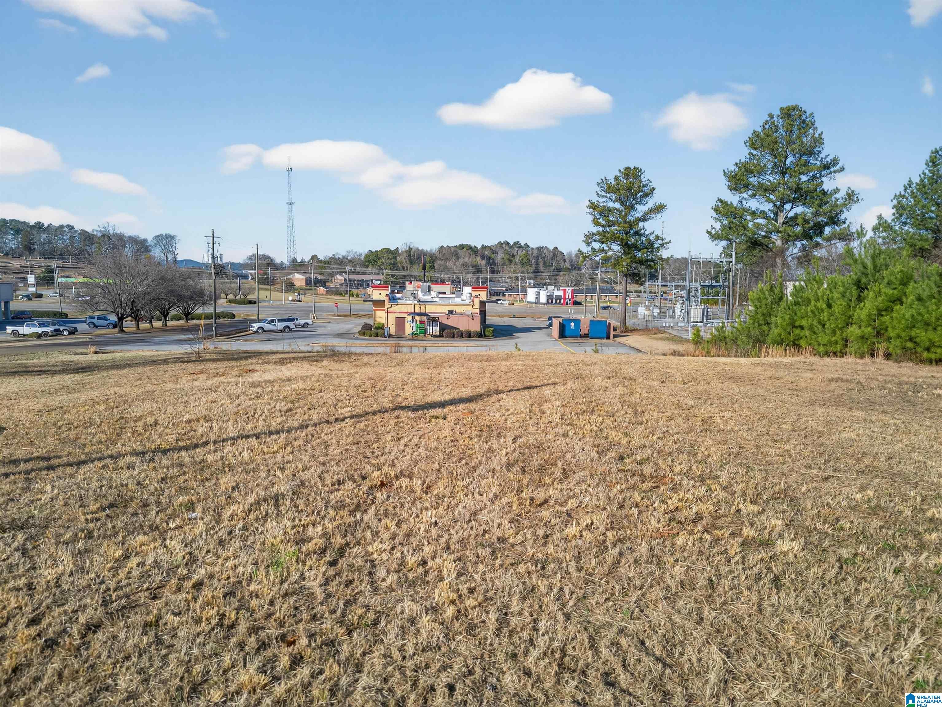 Homes for sale in Piedmont, AL | 0 Swann Street, Piedmont, AL 36272 | MLS# 21441812