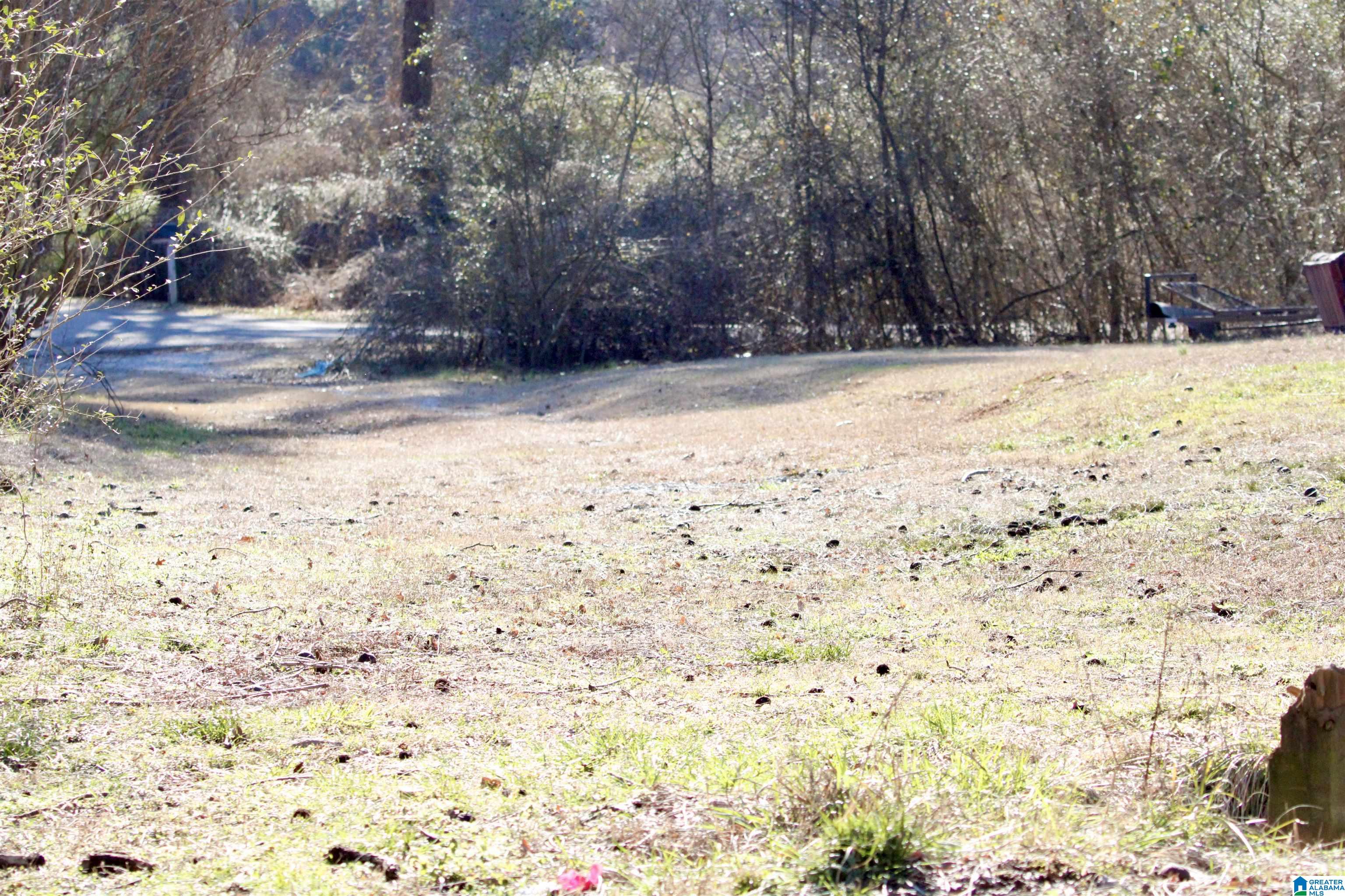 Homes for sale in Warrior, AL | 724 Bottom Lee Road, Warrior, AL 35180 | MLS# 21441831