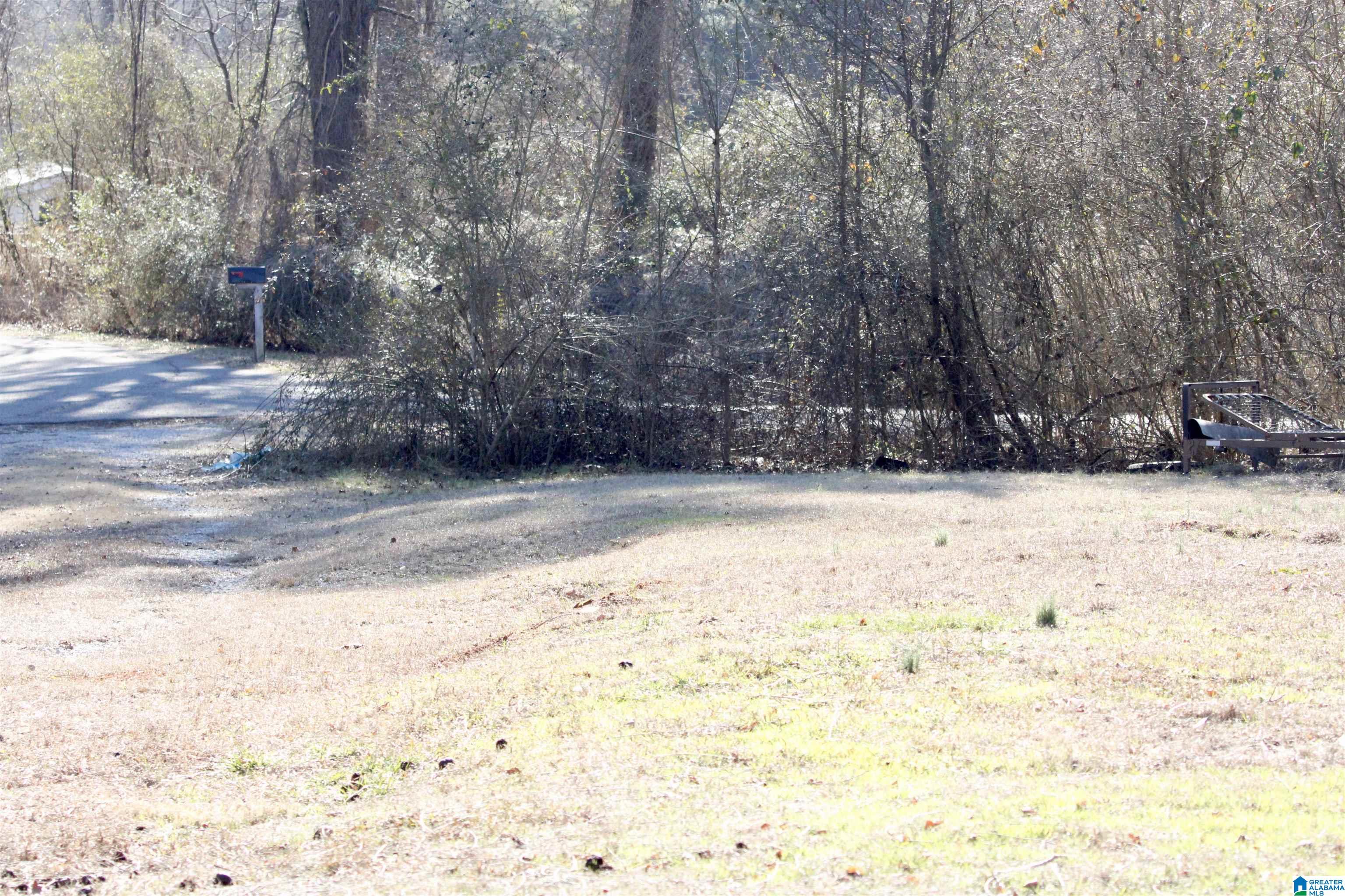 Homes for sale in Warrior, AL | 724 Bottom Lee Road, Warrior, AL 35180 | MLS# 21441831