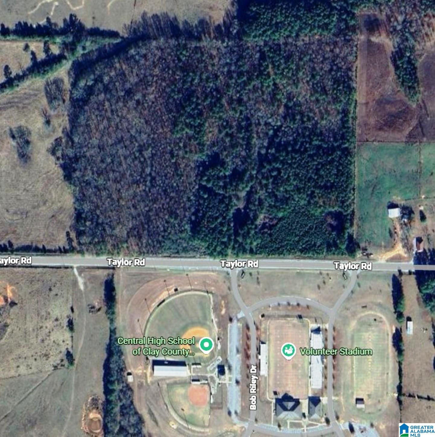 Homes for sale in Lineville, AL | 0 Taylor Road, Lineville, AL 36266 | MLS# 21441840