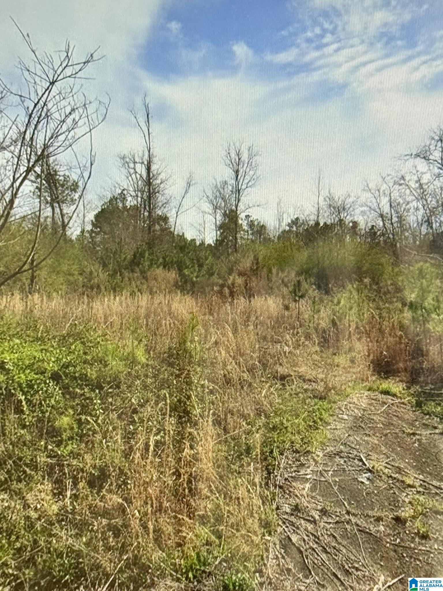 Homes for sale in Kimberly, AL | 369 Kelley Dr, Kimberly, AL 35091 | MLS# 21441869