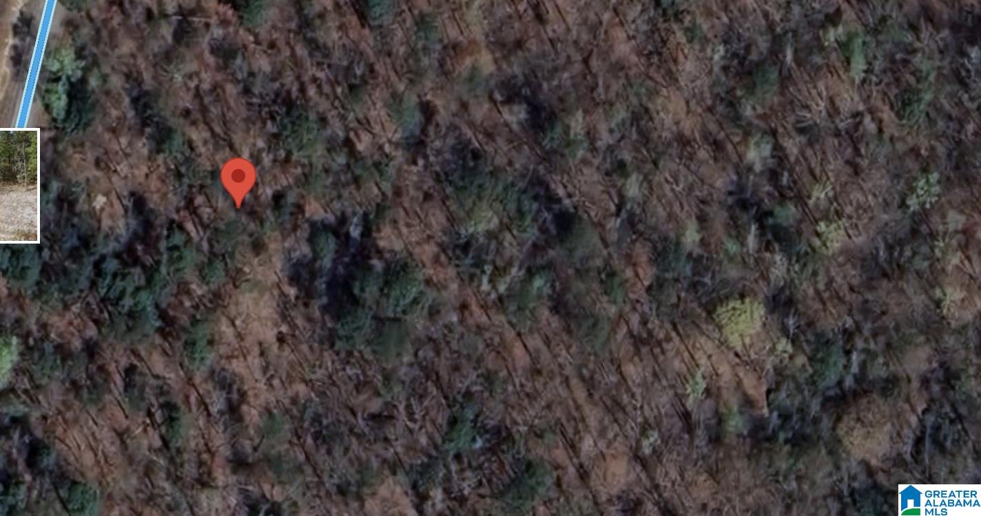 Homes for sale in Vance, AL | Lot 16/5 Mountain View Lane, Vance, AL 35490 | MLS# 21441886