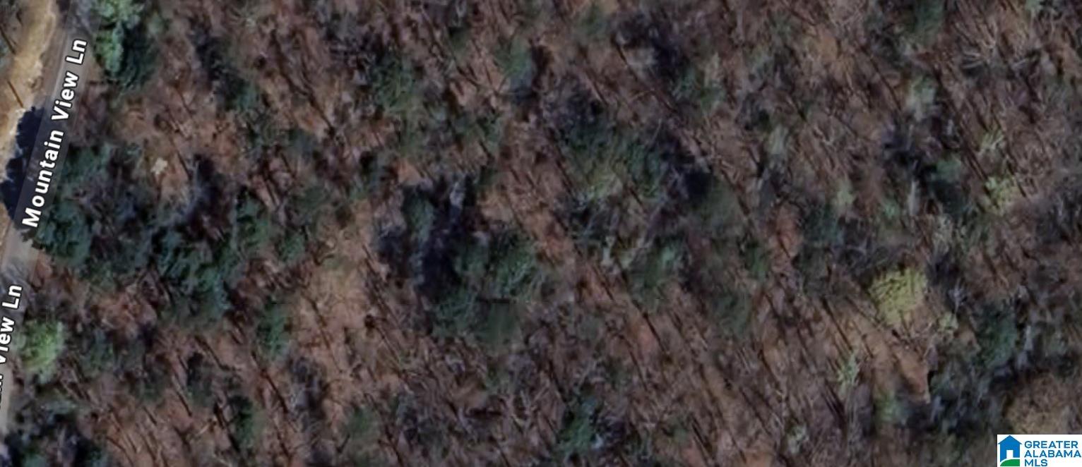 Homes for sale in Vance, AL | Lot 16/5 Mountain View Lane, Vance, AL 35490 | MLS# 21441886