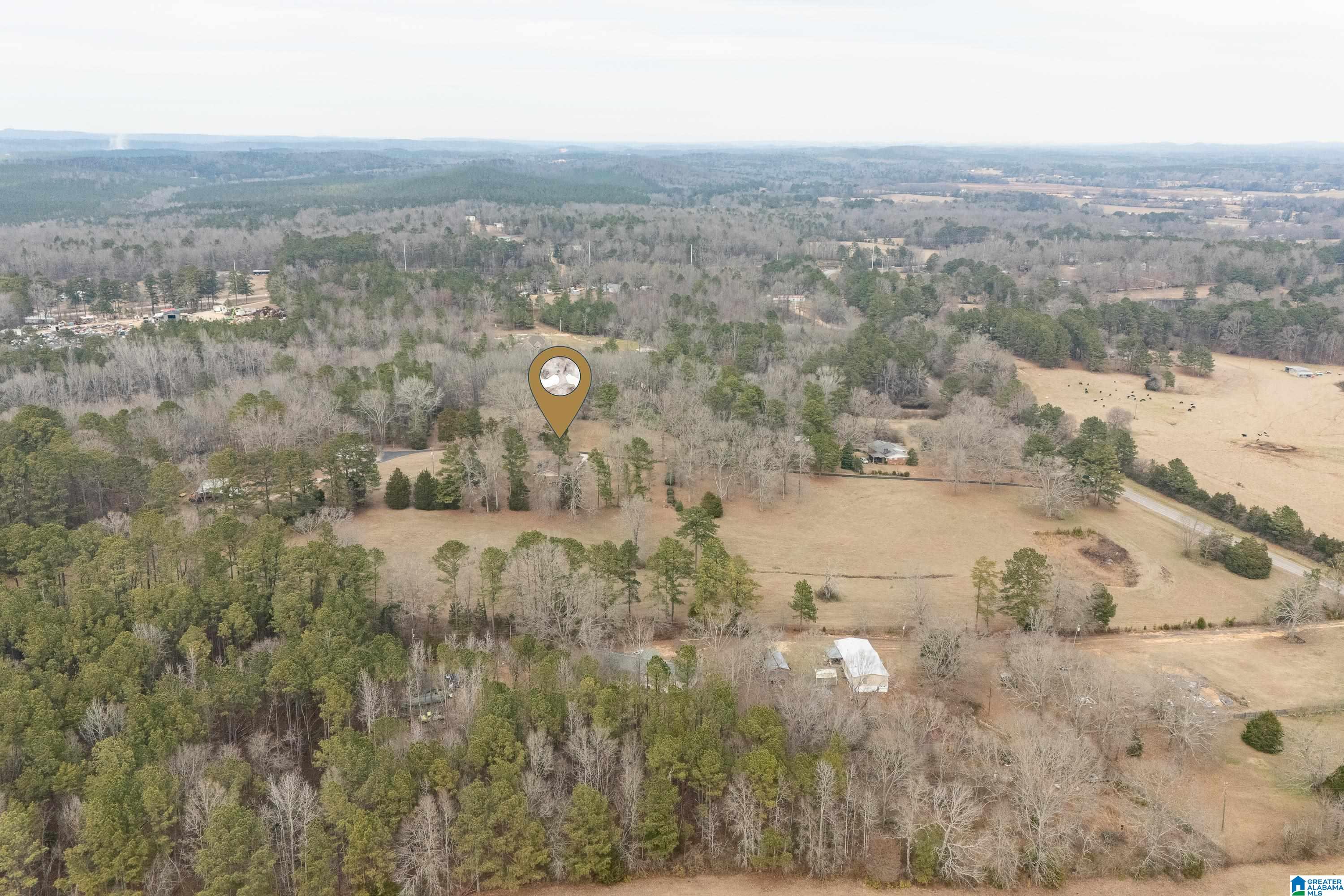 Homes for sale in Cropwell, AL | 4175 Logan Martin Dam Road, Cropwell, AL 35054 | MLS# 21441919