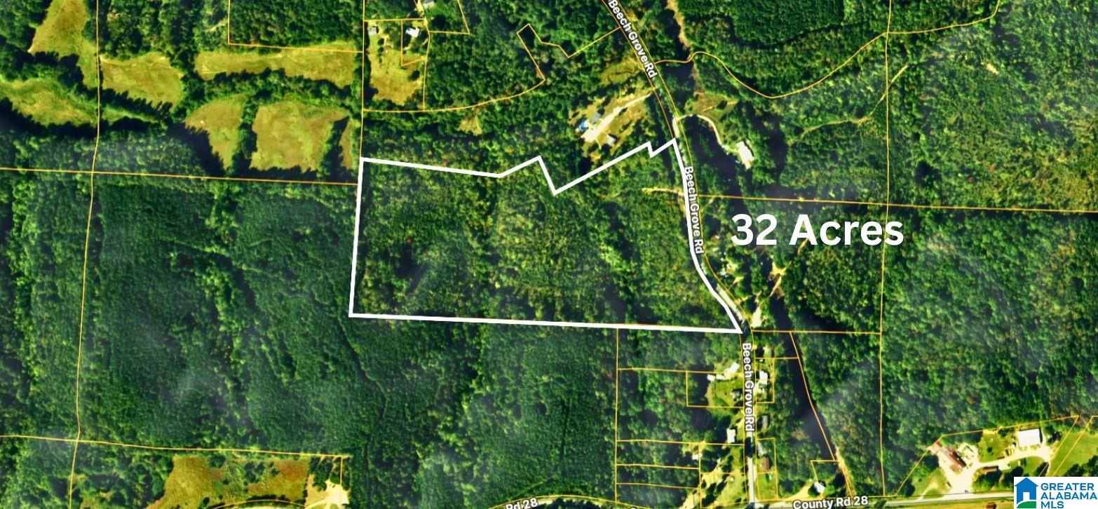 Homes for sale in Haleyville, AL | Tbd1 Beech Grove Road, Haleyville, AL 35565 | MLS# 21441969