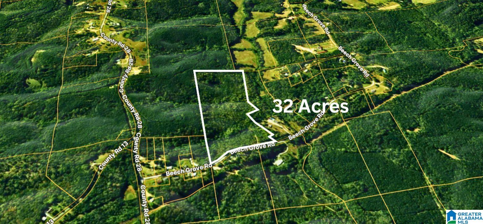 Homes for sale in Haleyville, AL | Tbd1 Beech Grove Road, Haleyville, AL 35565 | MLS# 21441969