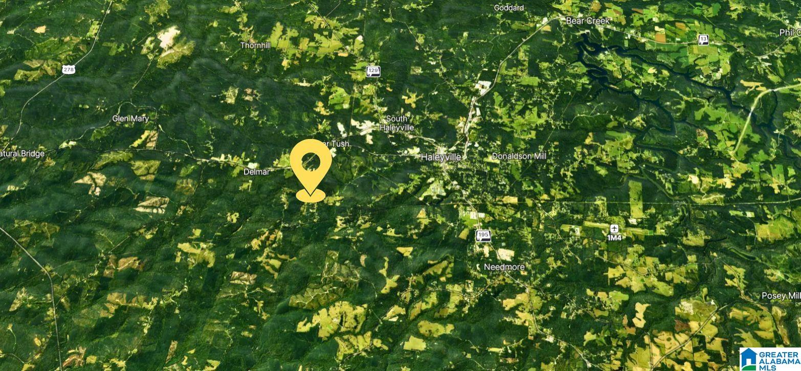 Homes for sale in Haleyville, AL | Tbd1 Beech Grove Road, Haleyville, AL 35565 | MLS# 21441969