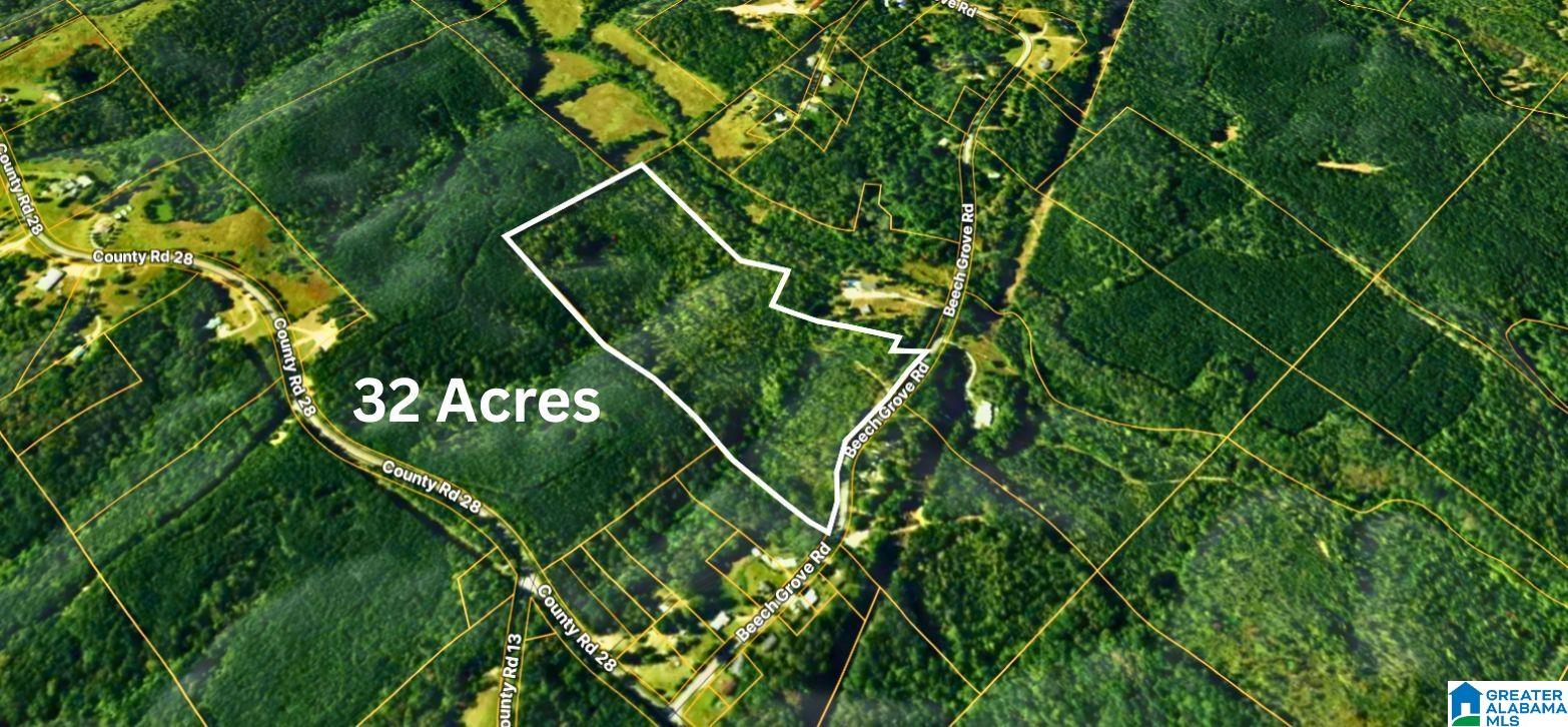Homes for sale in Haleyville, AL | Tbd1 Beech Grove Road, Haleyville, AL 35565 | MLS# 21441969
