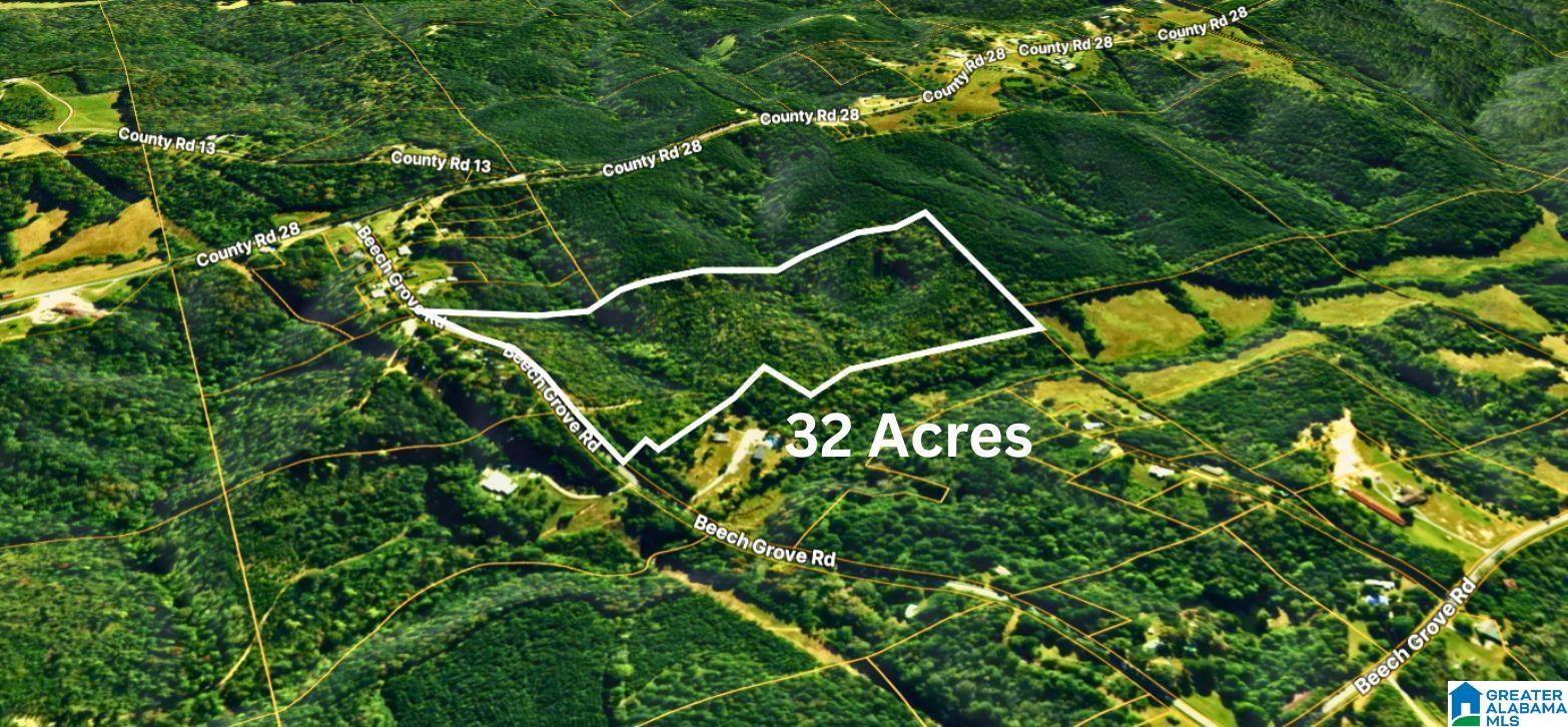 Homes for sale in Haleyville, AL | Tbd1 Beech Grove Road, Haleyville, AL 35565 | MLS# 21441969