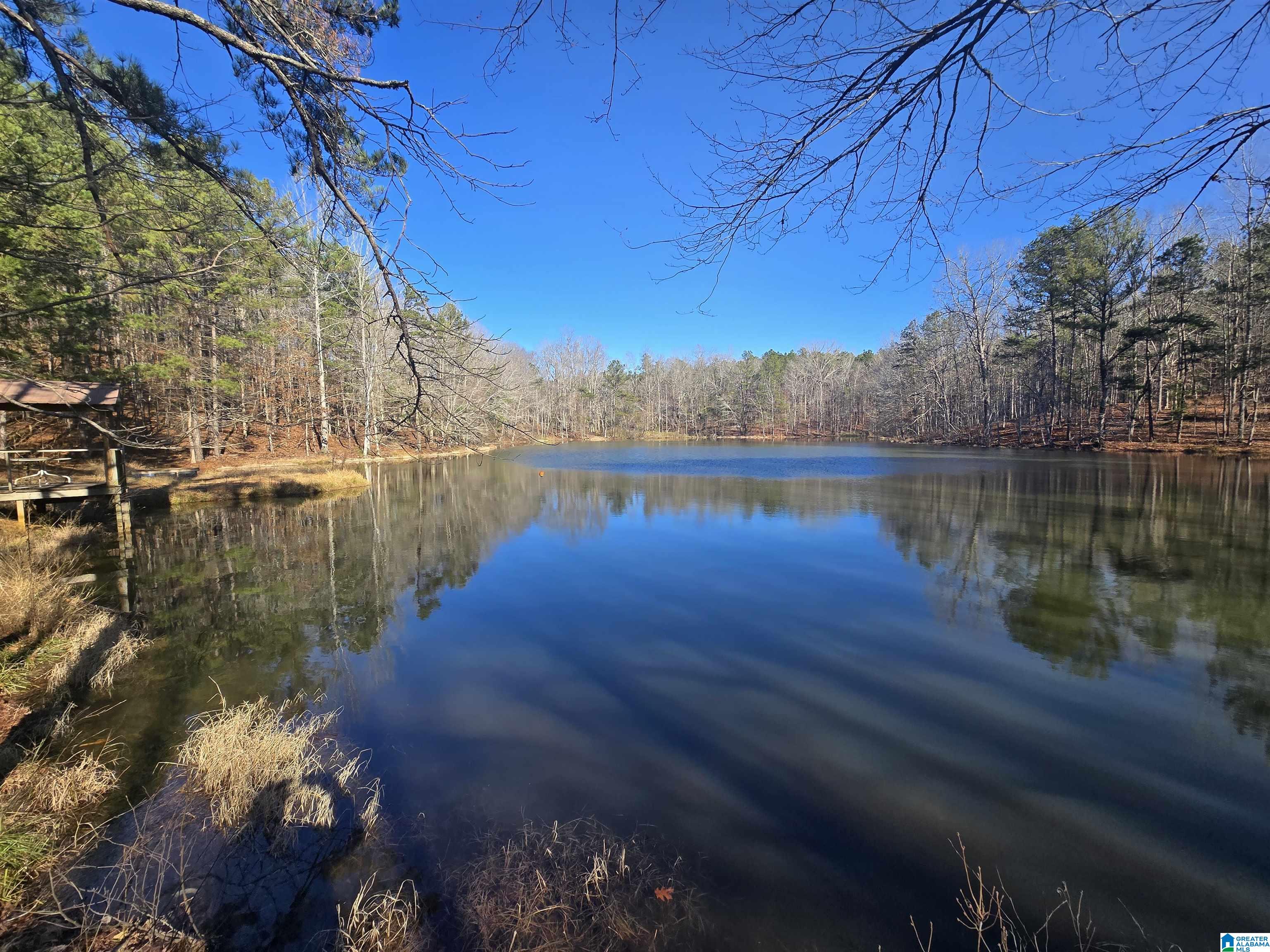 Homes for sale in Rockford, AL | 983 County Road 59, Rockford, AL 35136 | MLS# 21441981