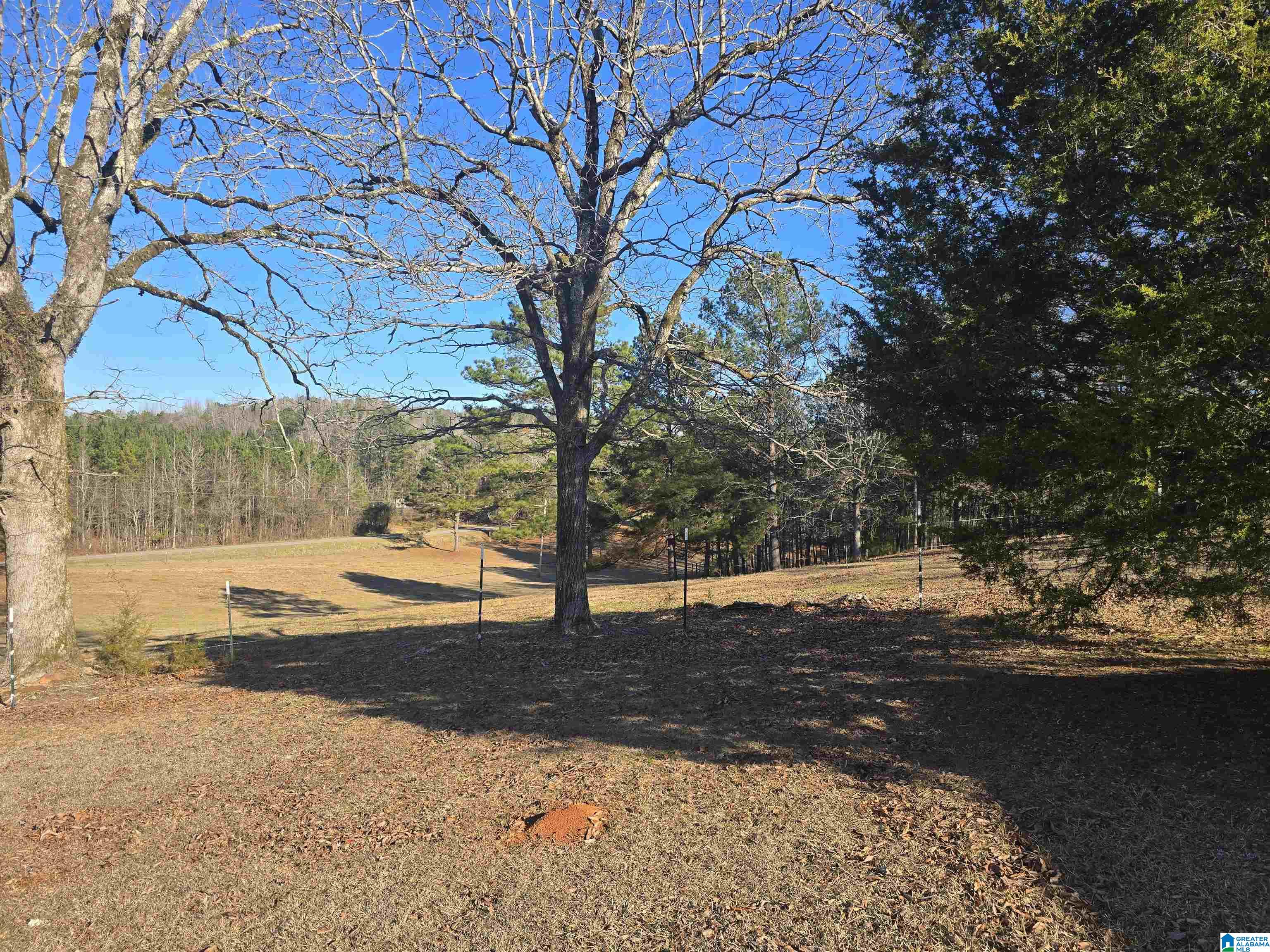 Homes for sale in Rockford, AL | 983 County Road 59, Rockford, AL 35136 | MLS# 21441981