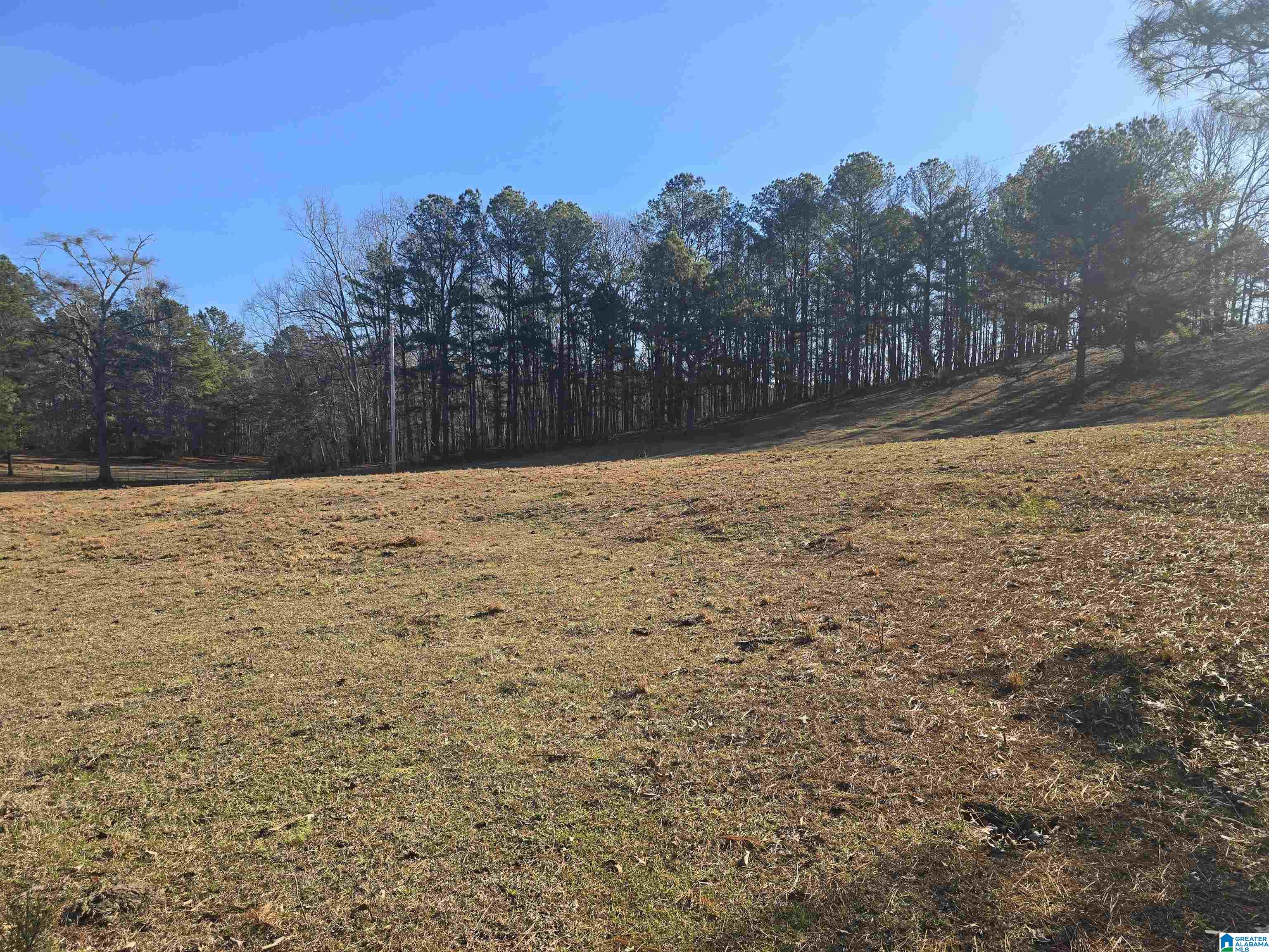 Homes for sale in Rockford, AL | 983 County Road 59, Rockford, AL 35136 | MLS# 21441981