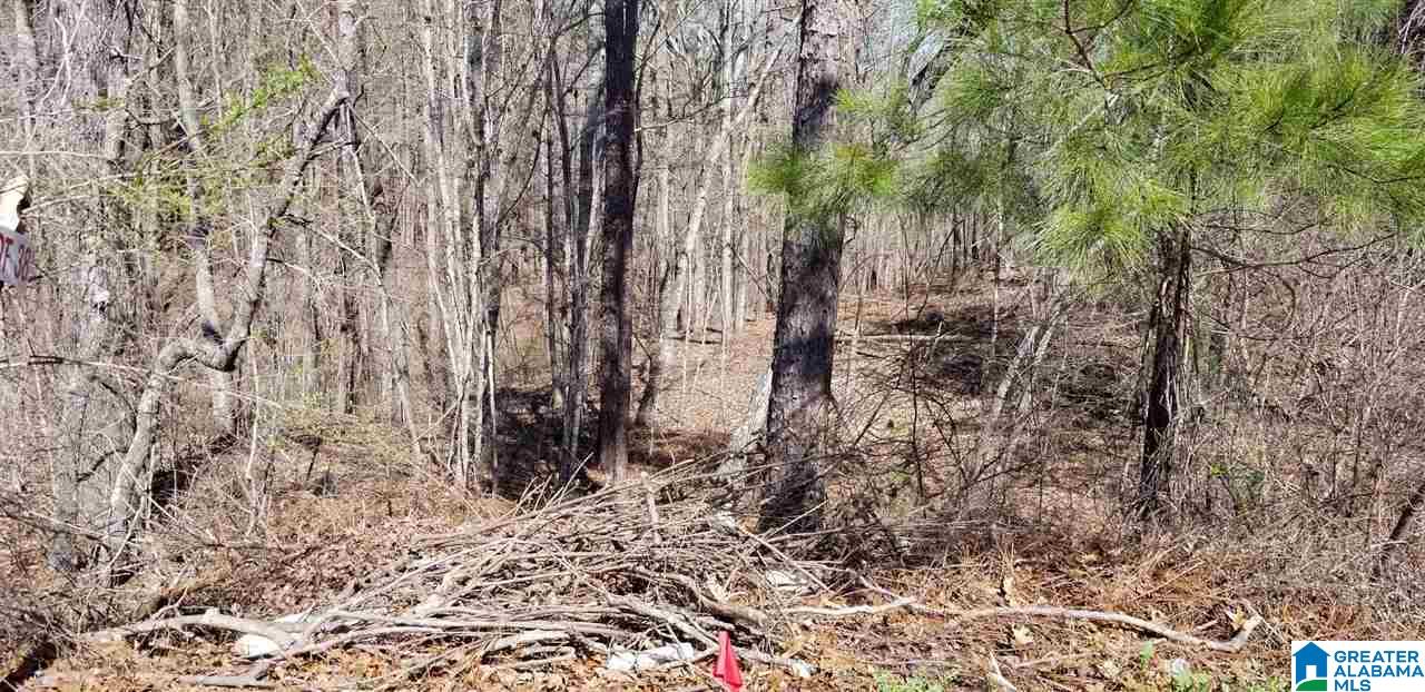 Homes for sale in Chelsea, AL | Morningview Cove, Chelsea, AL 35147 | MLS# 21441991