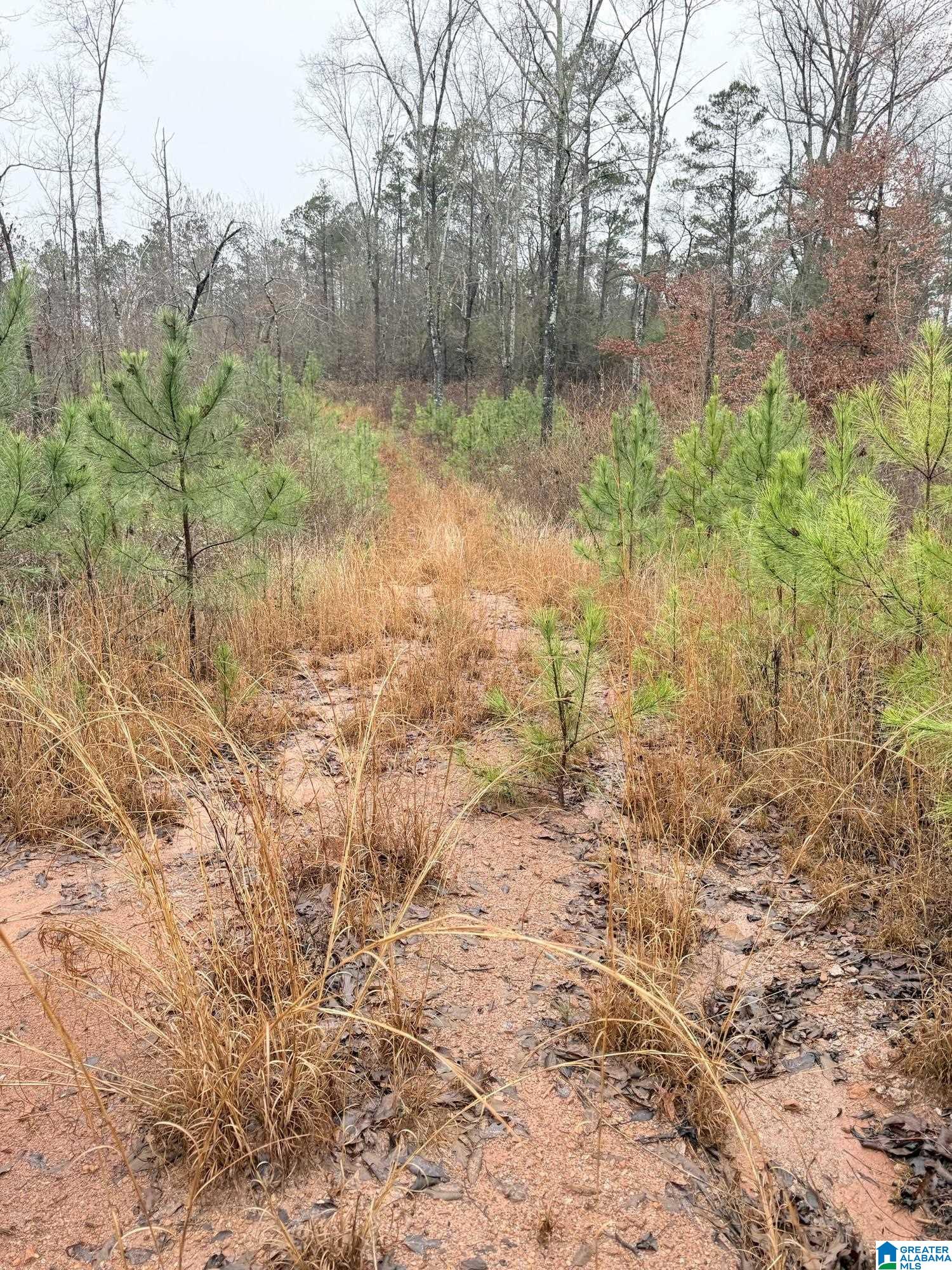 0000 COUNTY ROAD 472