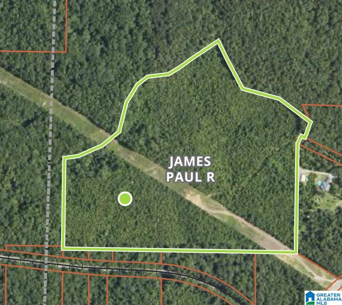 Homes for sale in Sylacauga, AL | 1 Trammell Motorway, Sylacauga, AL 35150 | MLS# 21442017