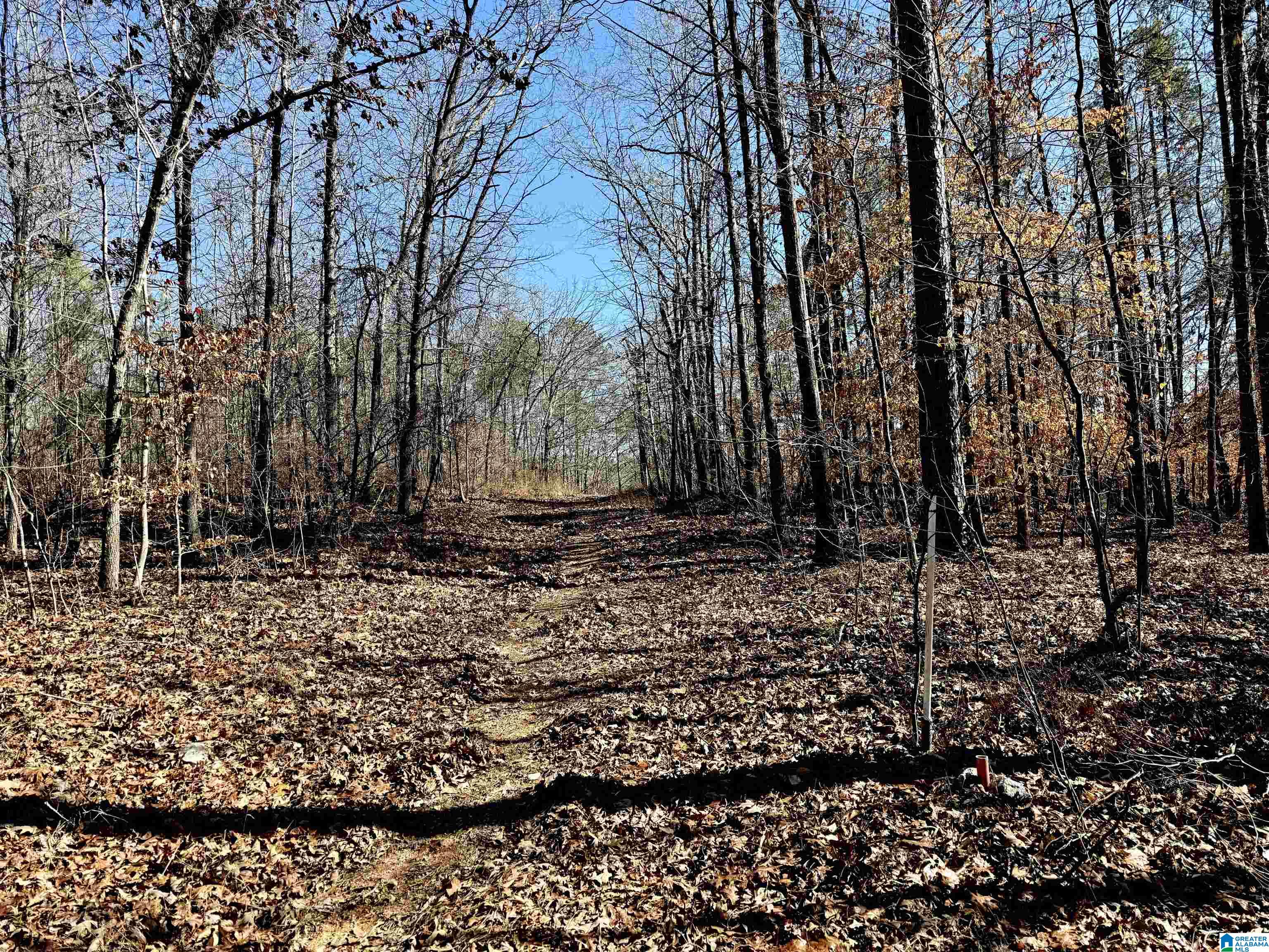 Homes for sale in Sylacauga, AL | 1 Trammell Motorway, Sylacauga, AL 35150 | MLS# 21442017