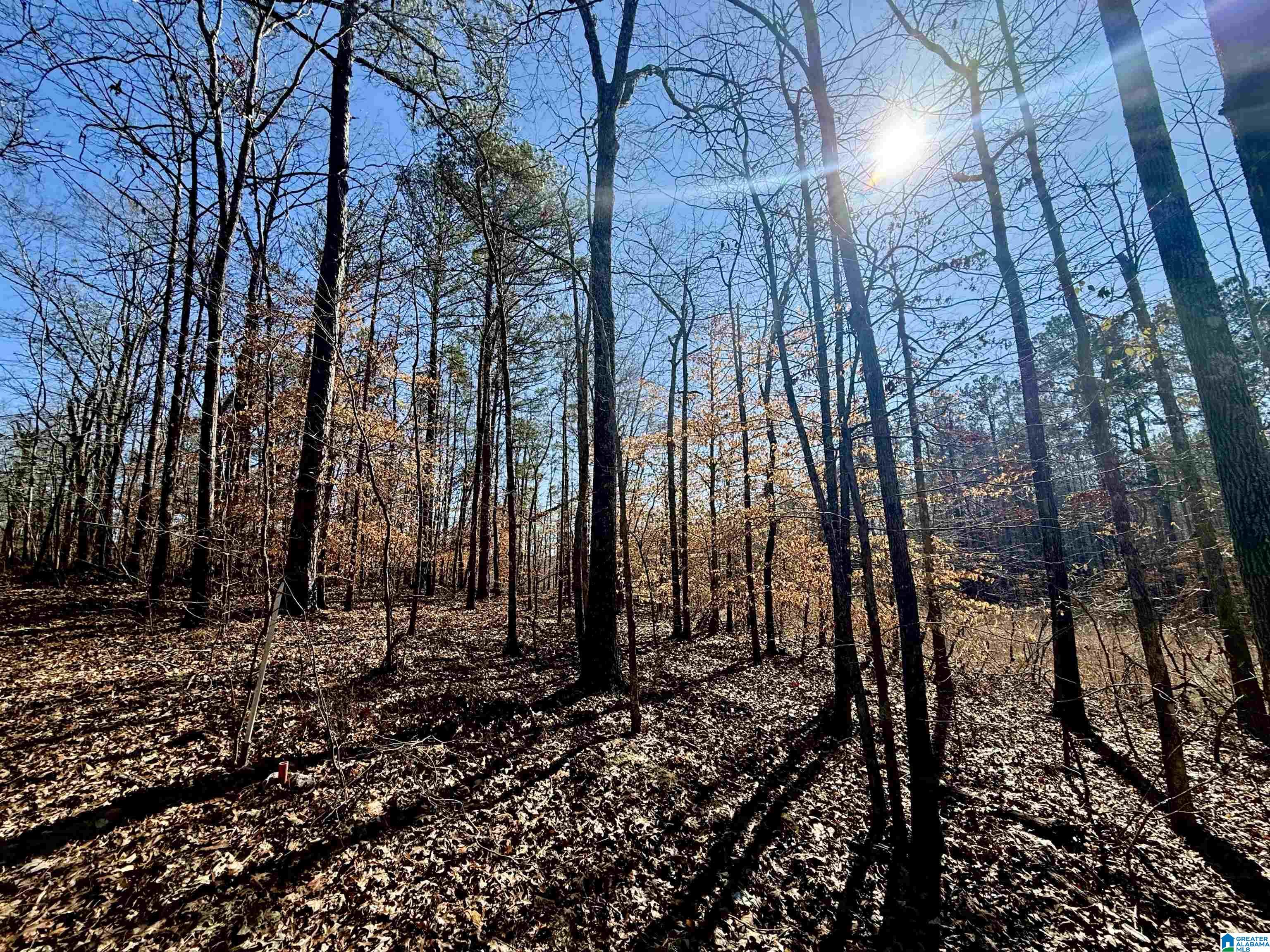 Homes for sale in Sylacauga, AL | 1 Trammell Motorway, Sylacauga, AL 35150 | MLS# 21442017