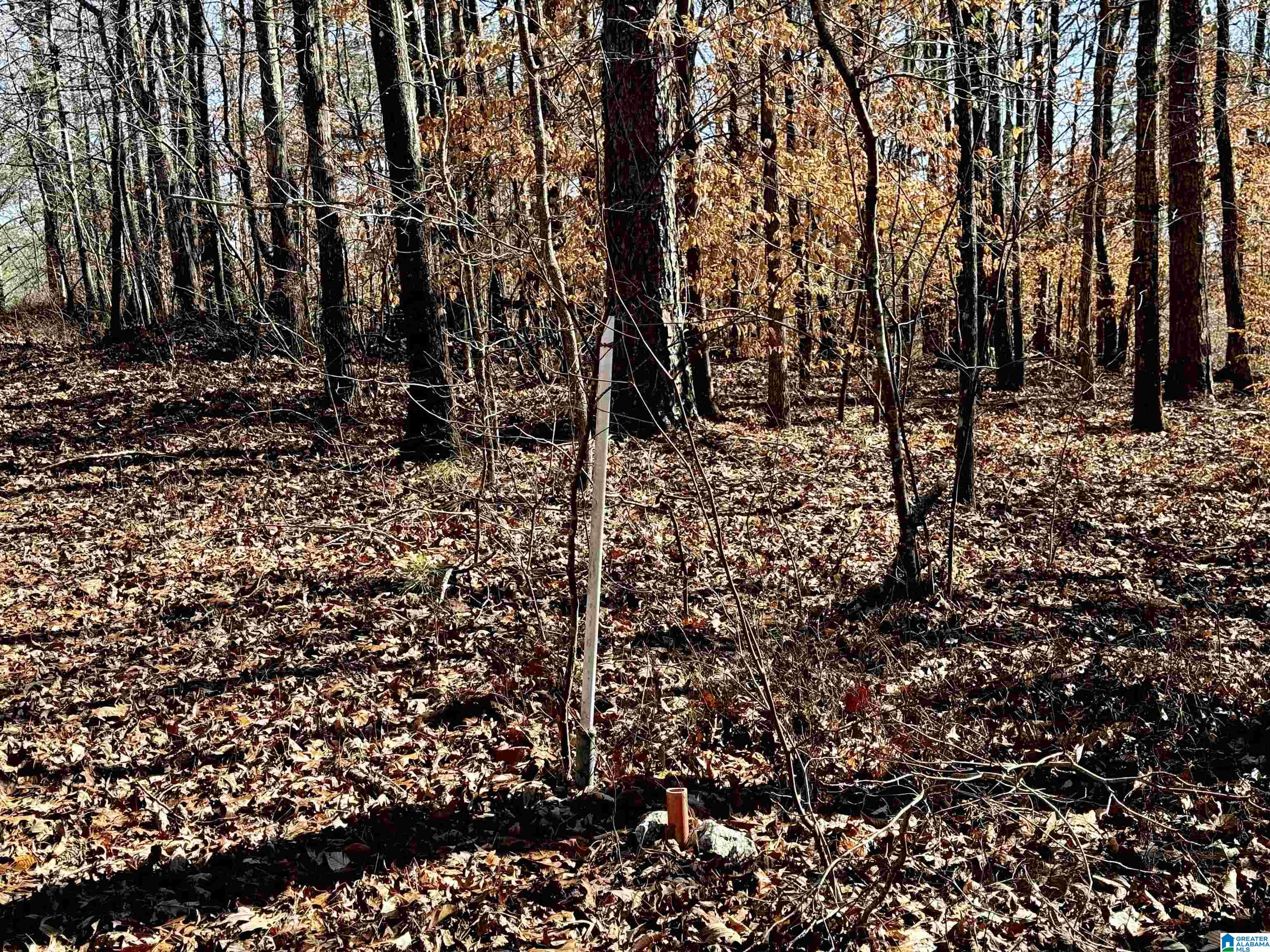 Homes for sale in Sylacauga, AL | 1 Trammell Motorway, Sylacauga, AL 35150 | MLS# 21442017