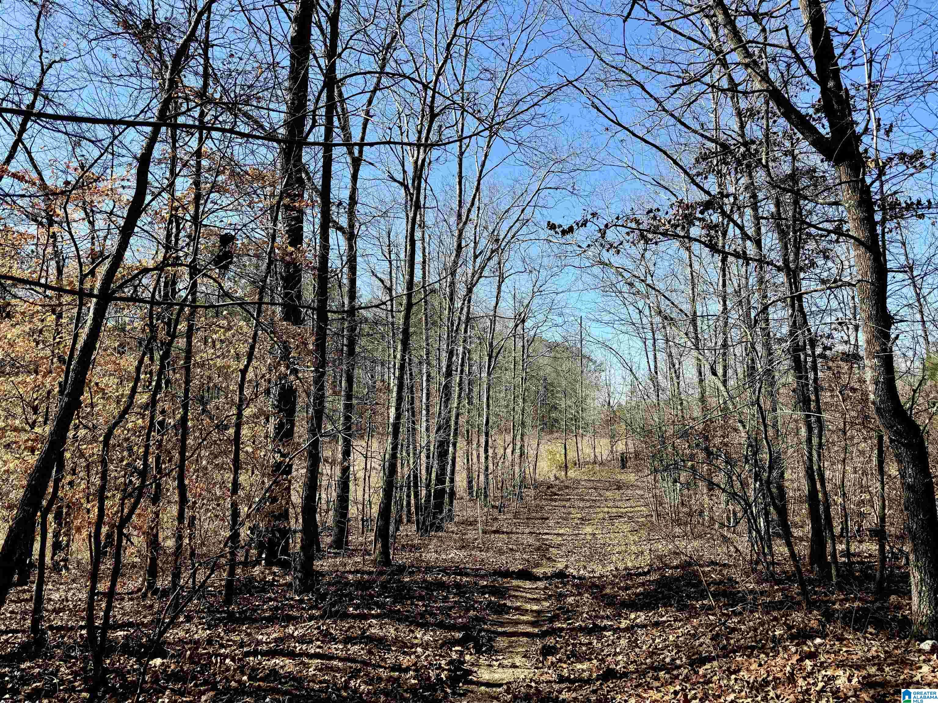 Homes for sale in Sylacauga, AL | 1 Trammell Motorway, Sylacauga, AL 35150 | MLS# 21442017