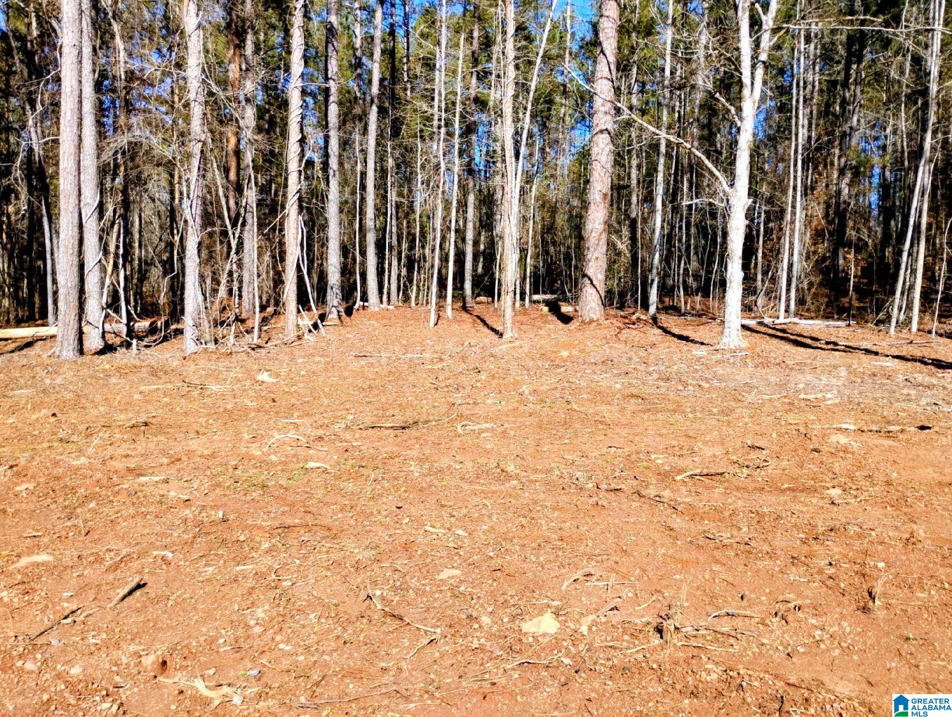 Homes for sale in Lineville, AL | 558 Foster Cove Dr, Lineville, AL 36266 | MLS# 21442018