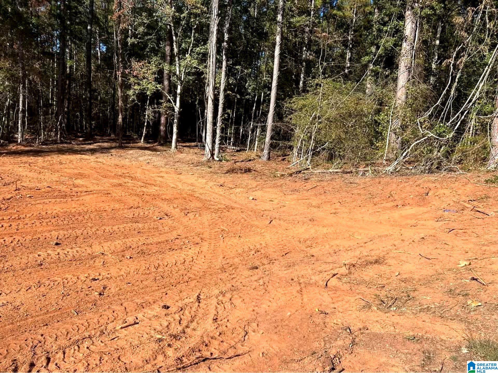 Homes for sale in Lineville, AL | 558 Foster Cove Dr, Lineville, AL 36266 | MLS# 21442018