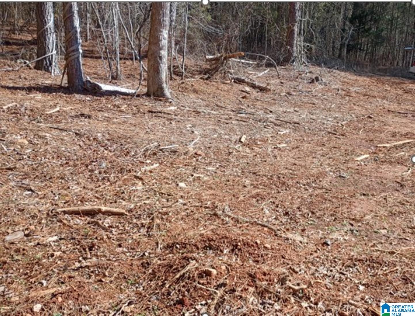 Homes for sale in Lineville, AL | 558 Foster Cove Dr, Lineville, AL 36266 | MLS# 21442018