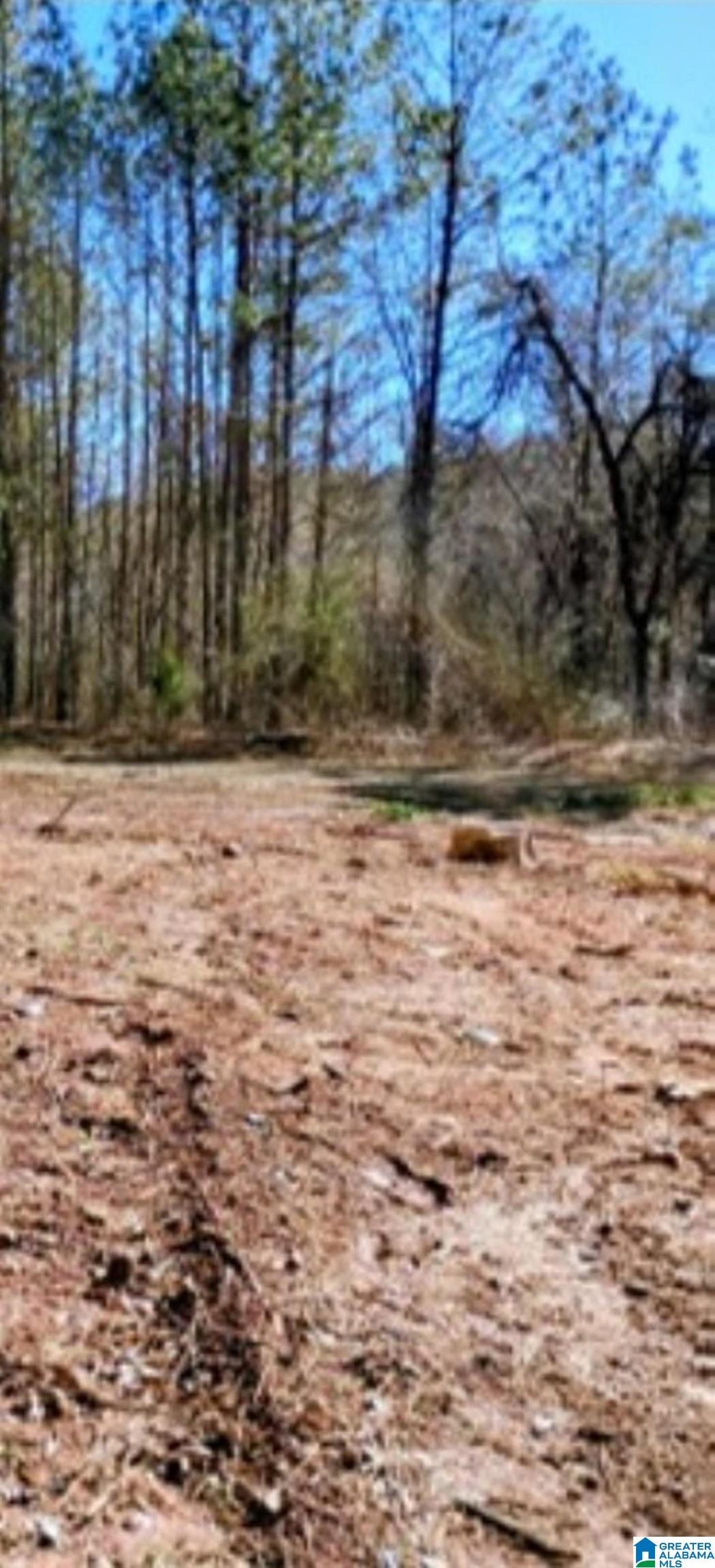 Homes for sale in Lineville, AL | 558 Foster Cove Dr, Lineville, AL 36266 | MLS# 21442018