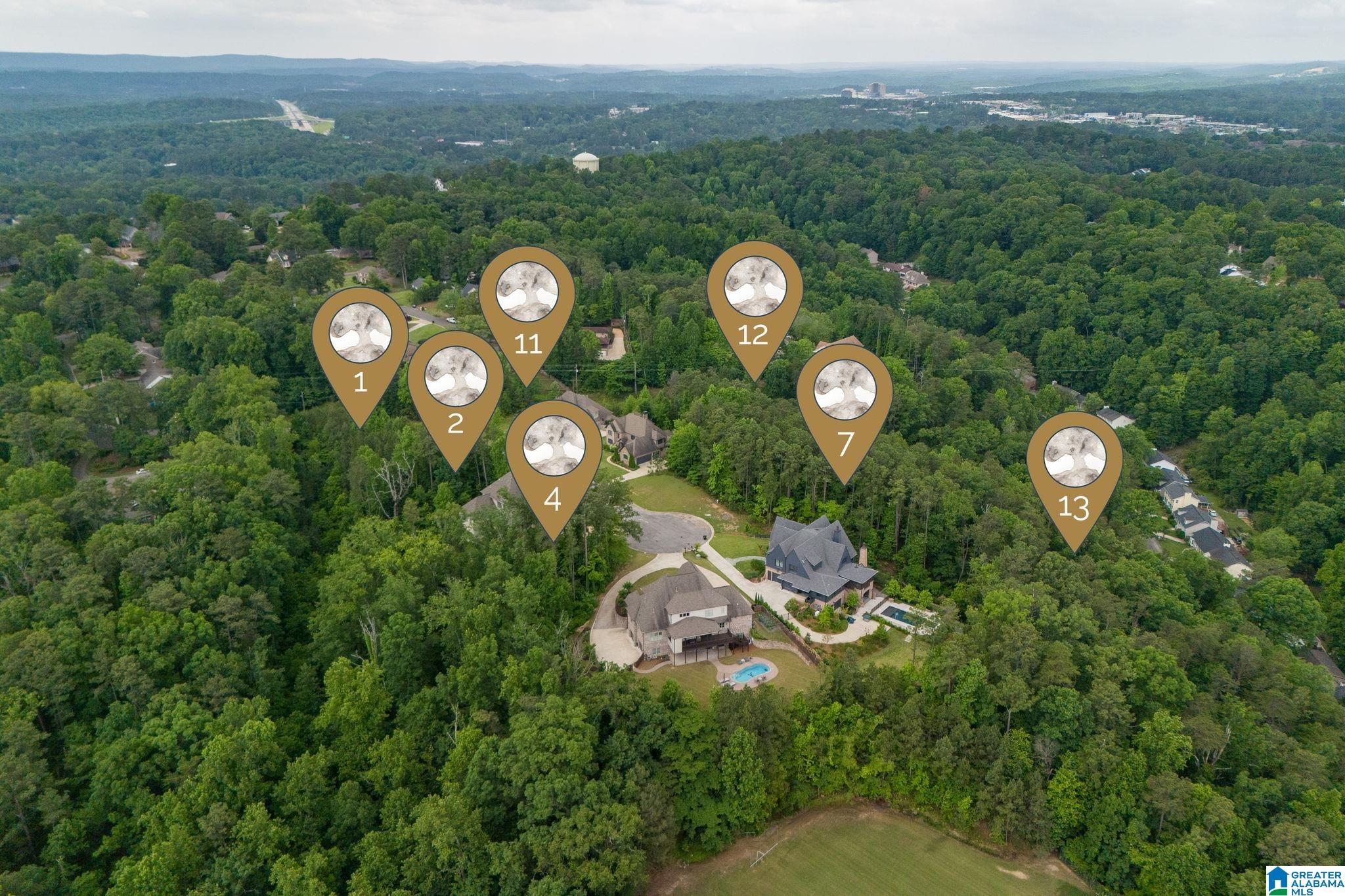 Homes for sale in Vestavia Hills, AL | 1625 Chateau Crest Lane, Vestavia Hills, AL 35216 | MLS# 21442040