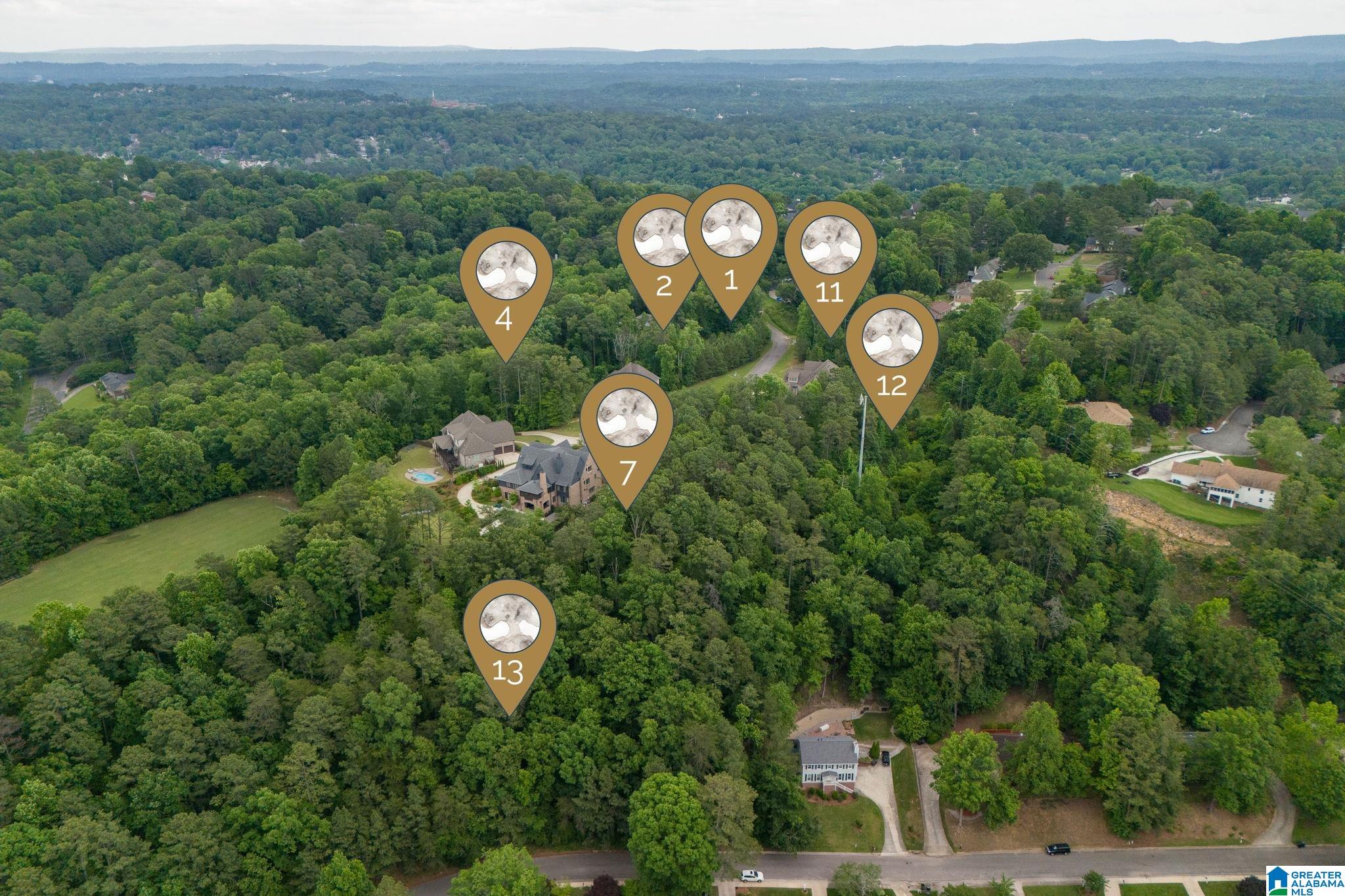 Homes for sale in Vestavia Hills, AL | 1616 Chateau Crest Lane, Vestavia Hills, AL 35216 | MLS# 21442044