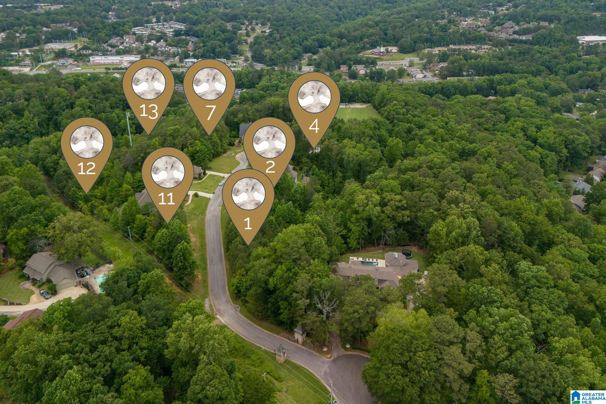 Homes for sale in Vestavia Hills, AL | 1621 Chateau Crest Lane, Vestavia Hills, AL 35216 | MLS# 21442051