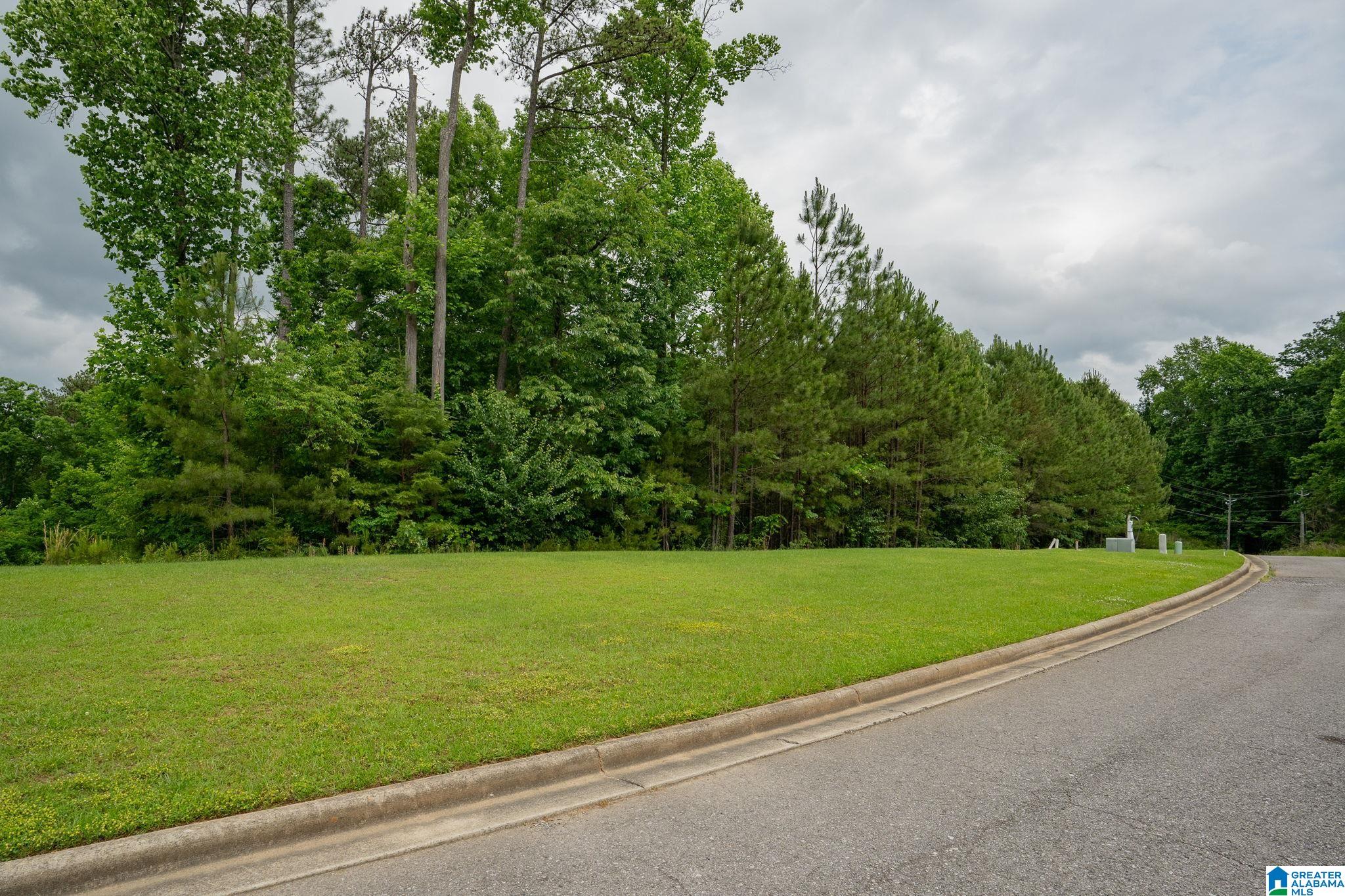 Homes for sale in Vestavia Hills, AL | 1621 Chateau Crest Lane, Vestavia Hills, AL 35216 | MLS# 21442051