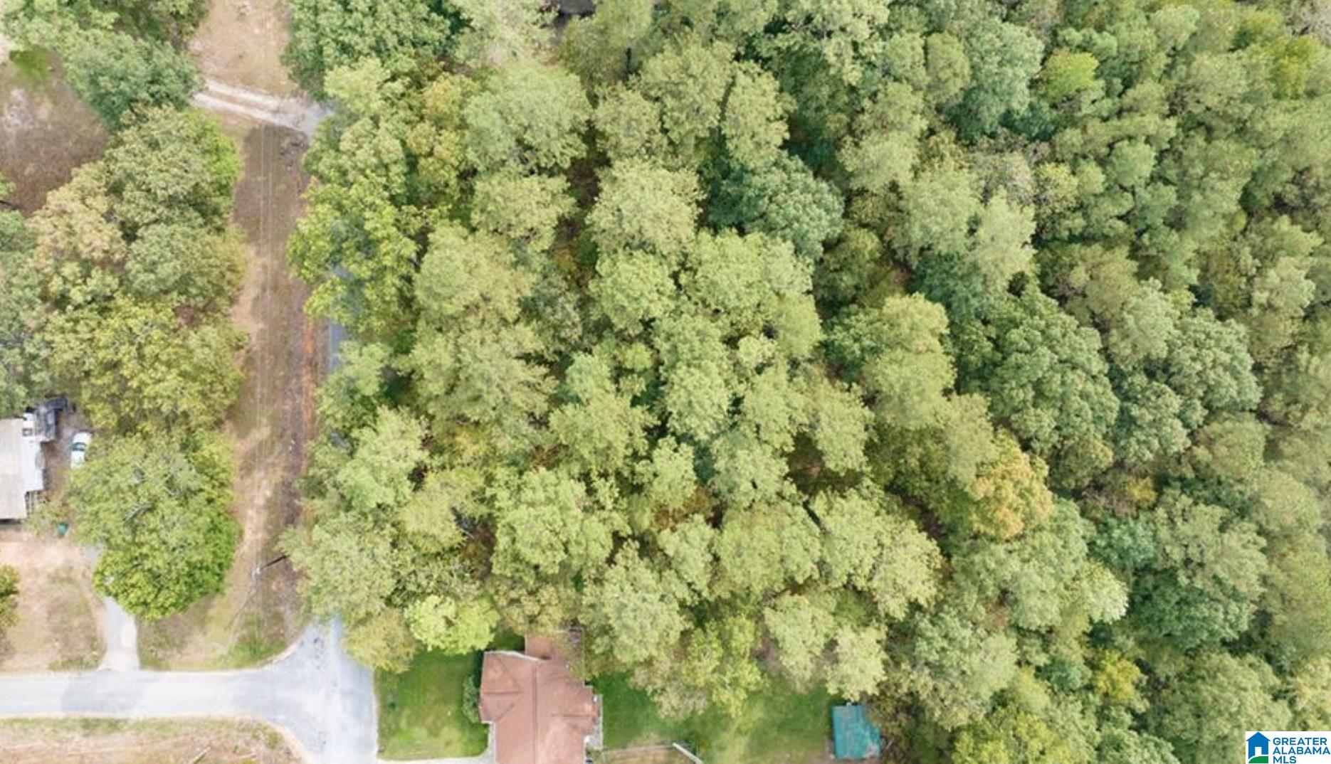 Homes for sale in Mccalla, AL | 0 Teddy Dr, Mccalla, AL 35111 | MLS# 21442073