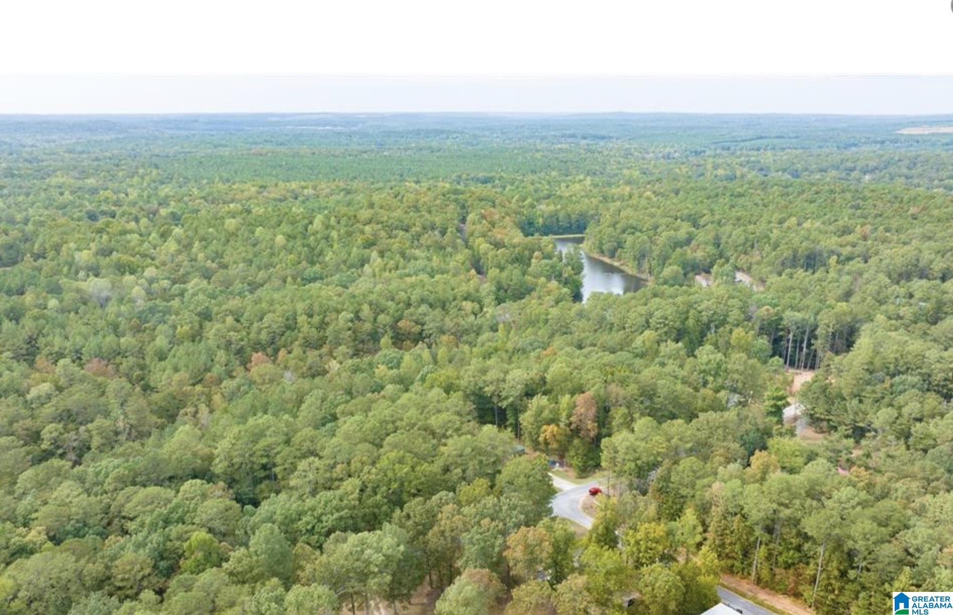 Homes for sale in Mccalla, AL | 0 Teddy Dr, Mccalla, AL 35111 | MLS# 21442073