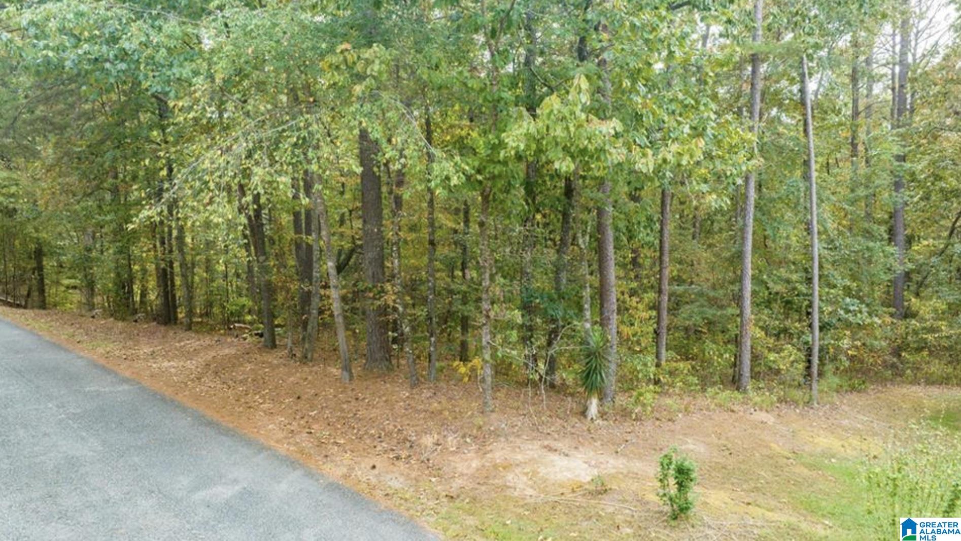 Homes for sale in Mccalla, AL | 0 Teddy Dr, Mccalla, AL 35111 | MLS# 21442073