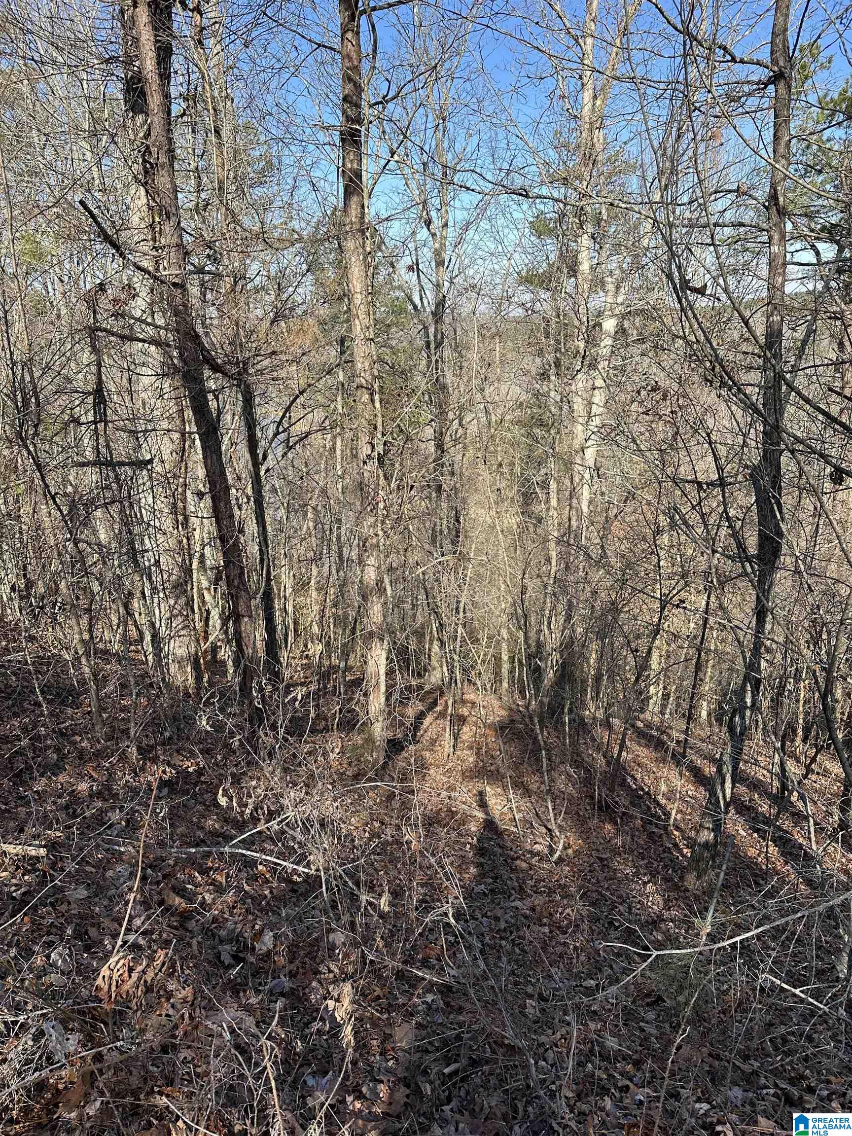 Homes for sale in Lineville, AL | 10 Montanas Way, Lineville, AL 36266 | MLS# 21442084