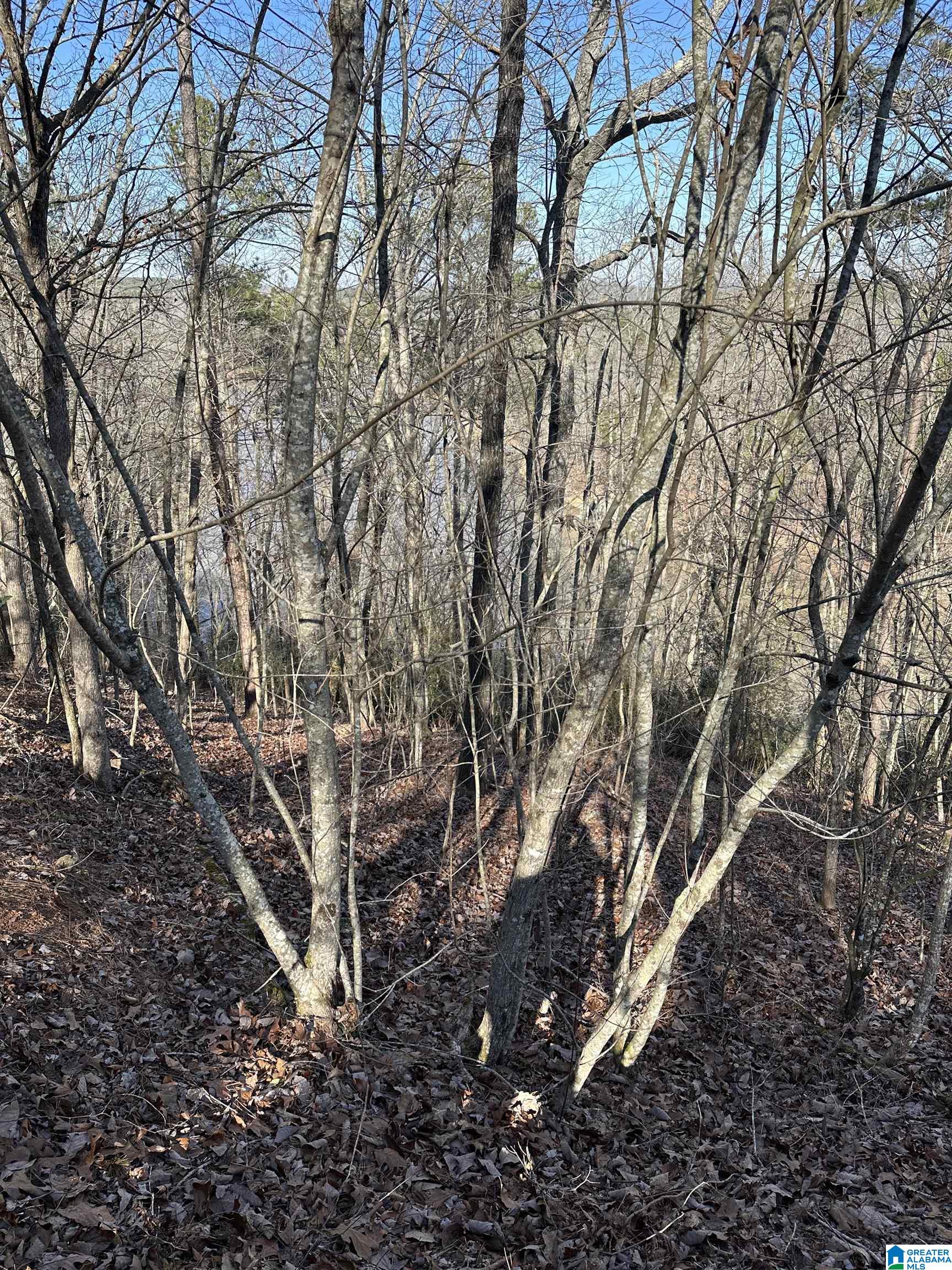 Homes for sale in Lineville, AL | 10 Montanas Way, Lineville, AL 36266 | MLS# 21442084