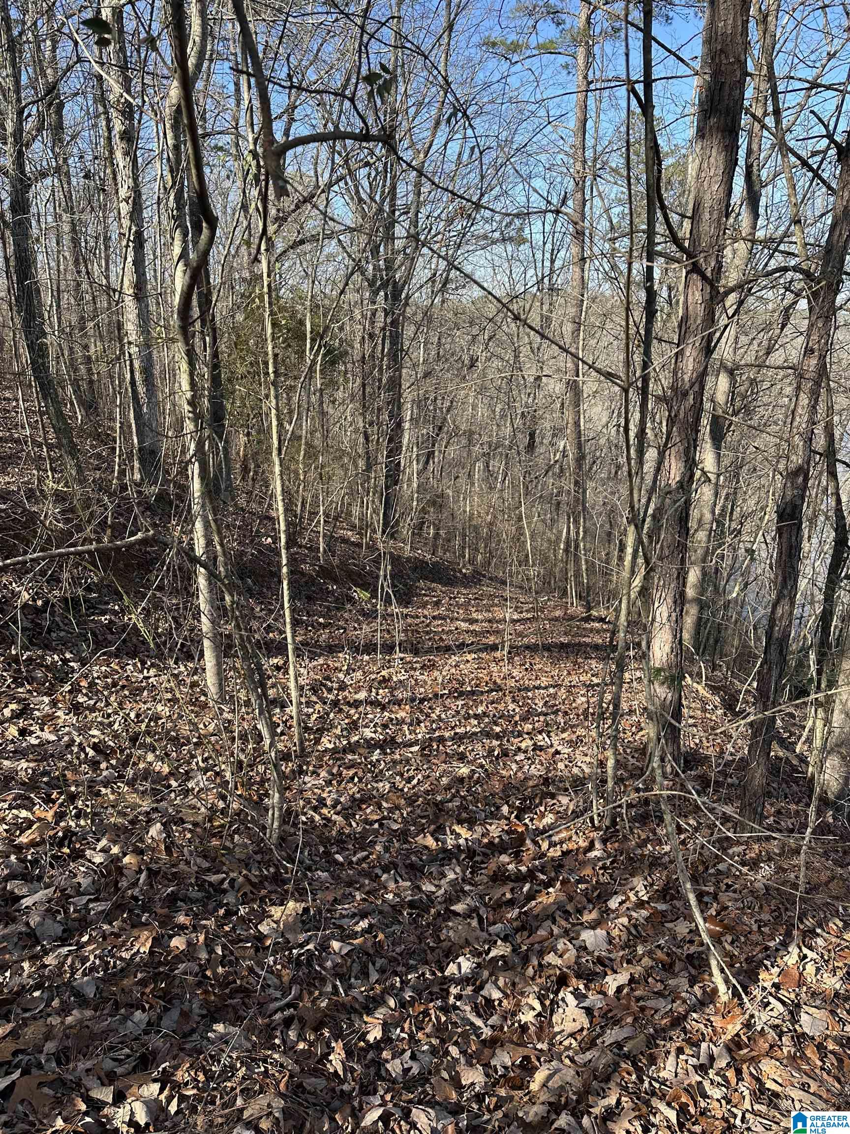 Homes for sale in Lineville, AL | 10 Montanas Way, Lineville, AL 36266 | MLS# 21442084