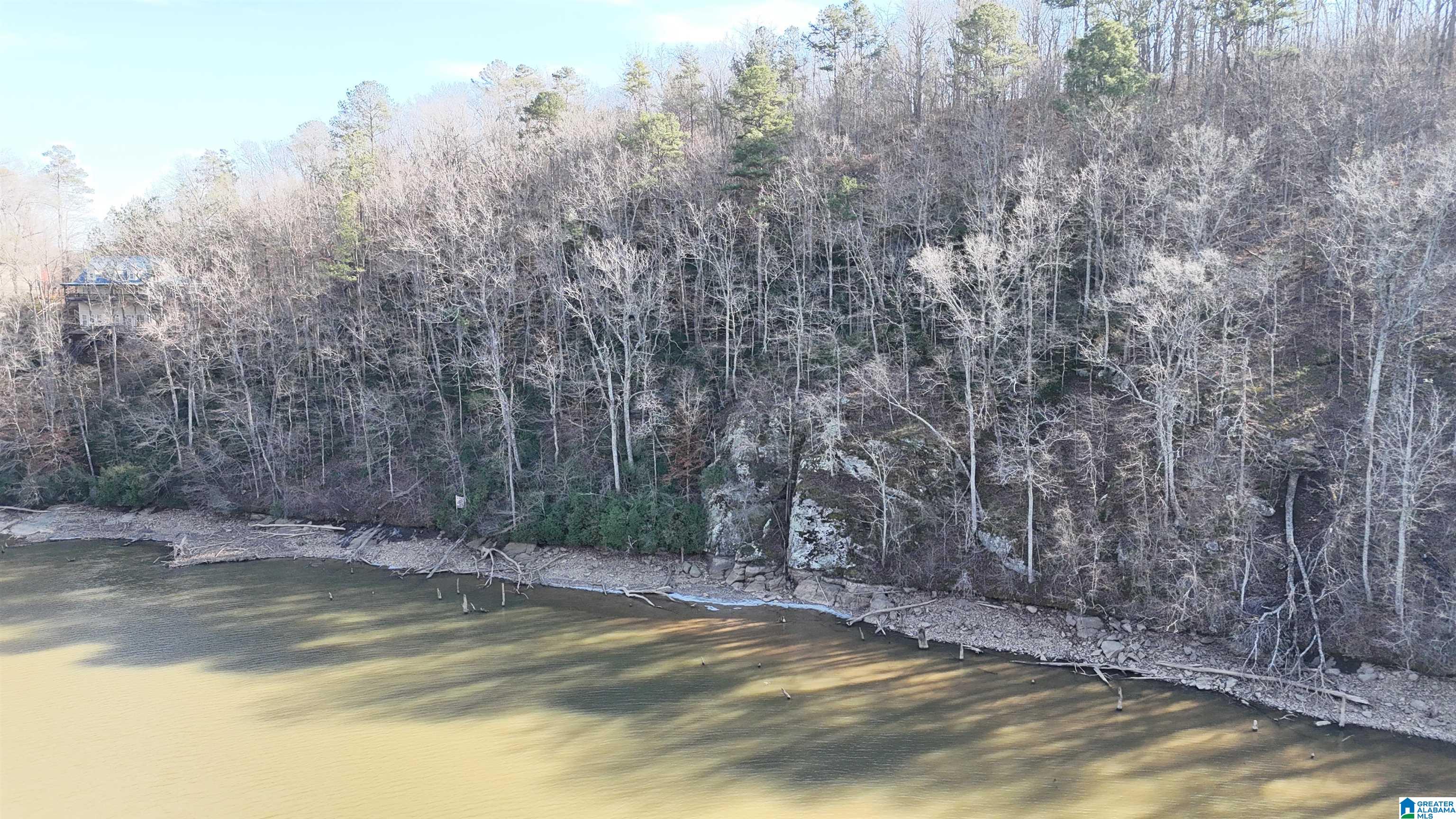 Homes for sale in Lineville, AL | 10 Montanas Way, Lineville, AL 36266 | MLS# 21442084