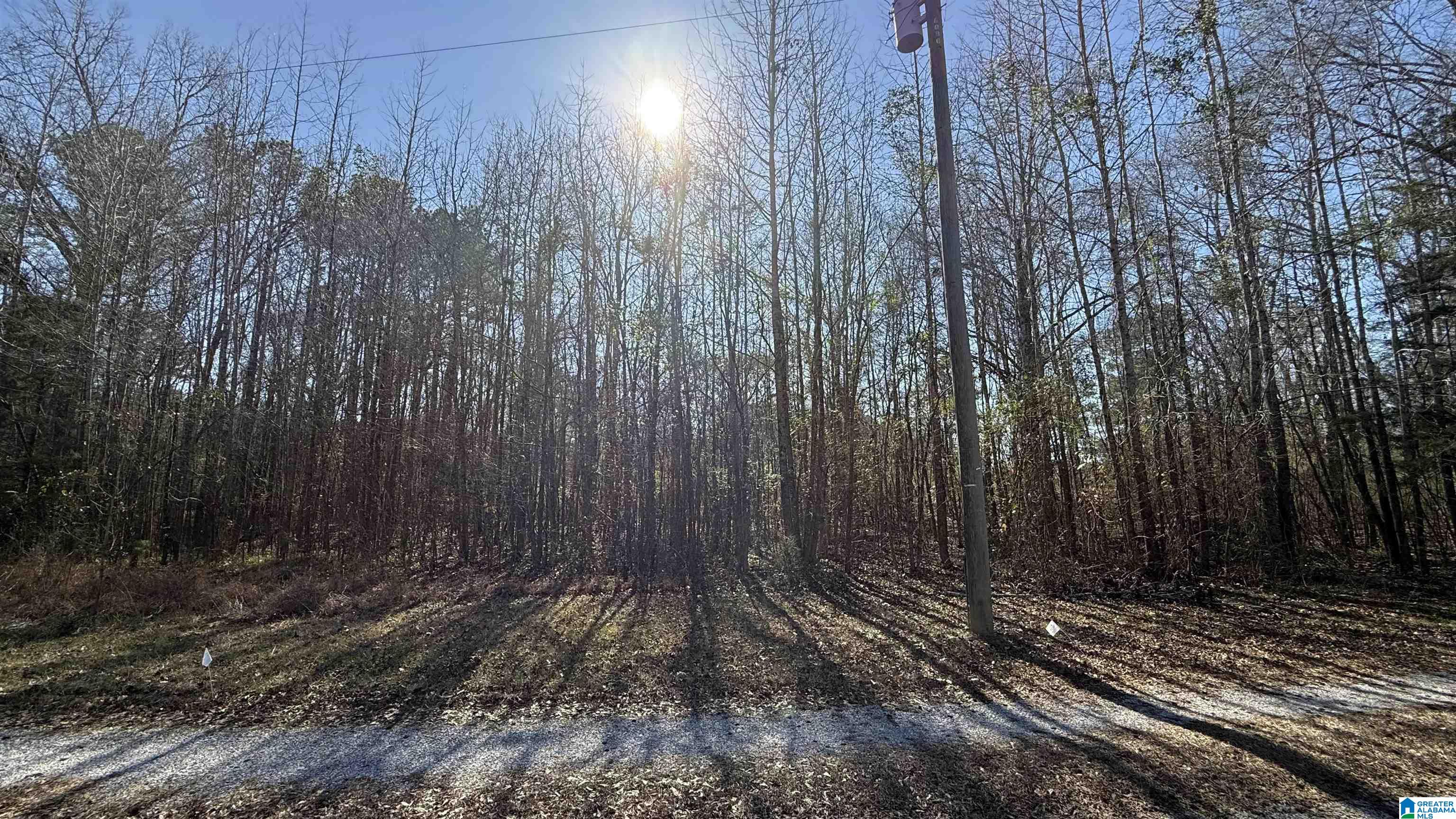 Homes for sale in Calera, AL | County Road 95, Calera, AL 35040 | MLS# 21442104